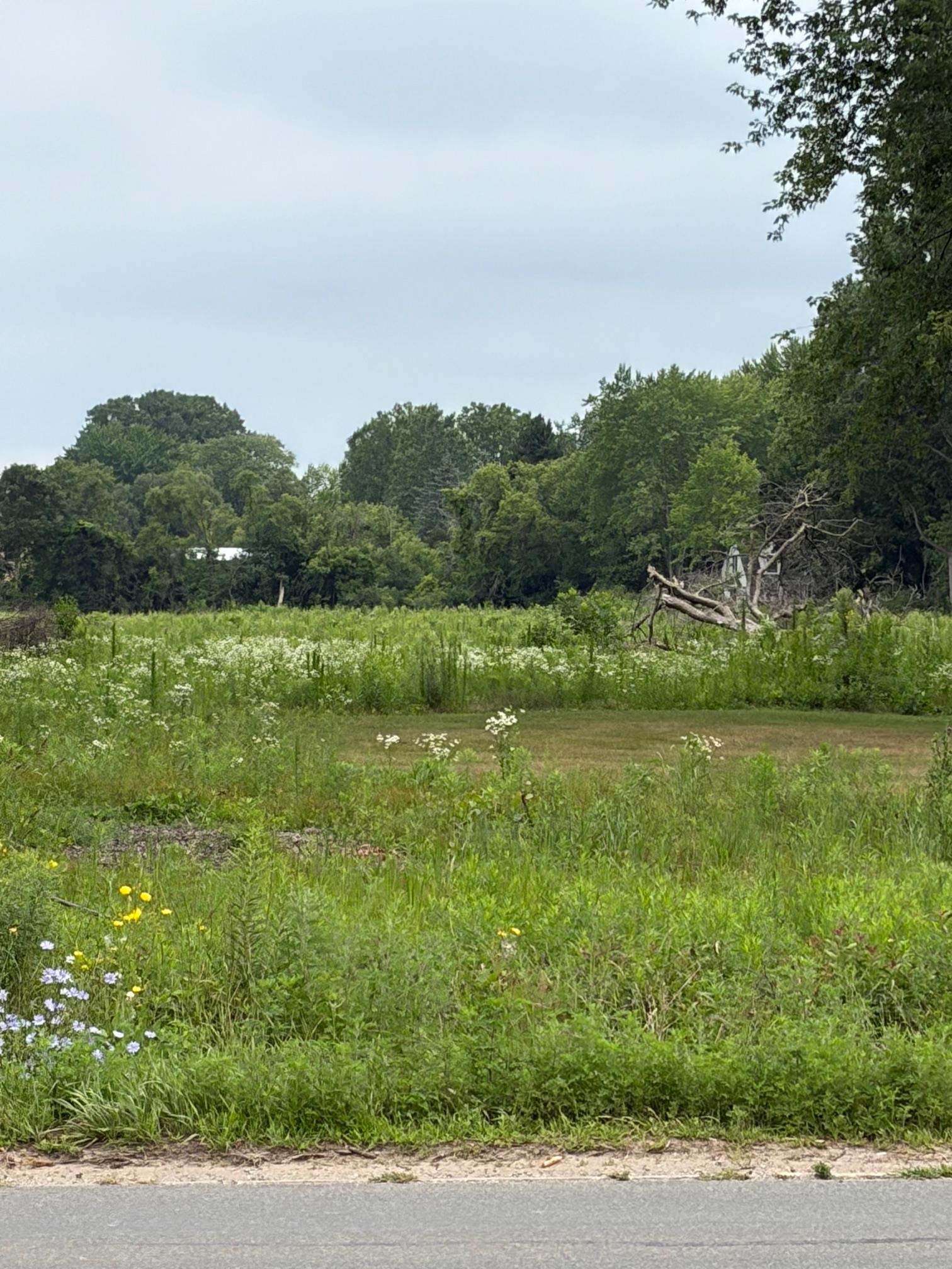 5th image of Tbd S Isabella Rd, Mount Pleasant, MI 48858 | MLS# 80071959