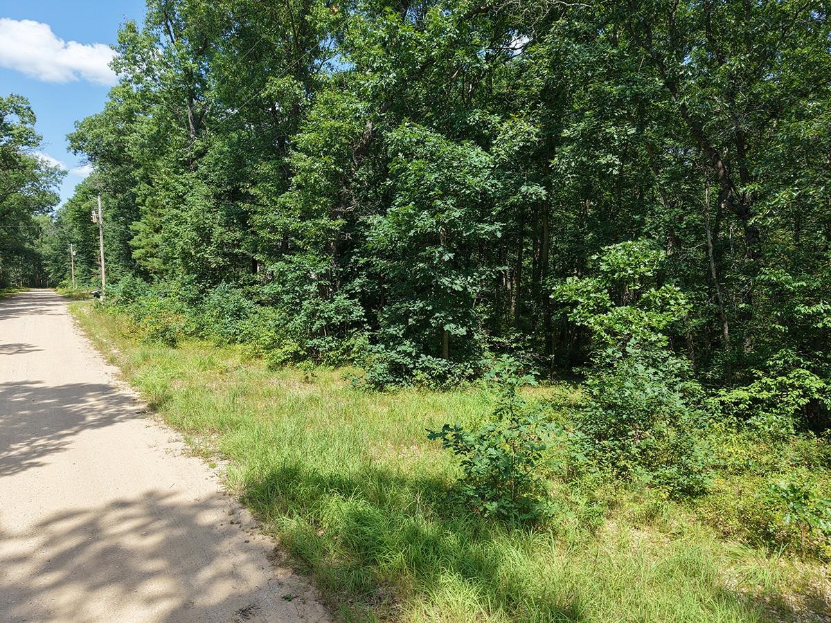 3rd image of Lot 166 James St, Wellston, MI 49689 | MLS# 80071977
