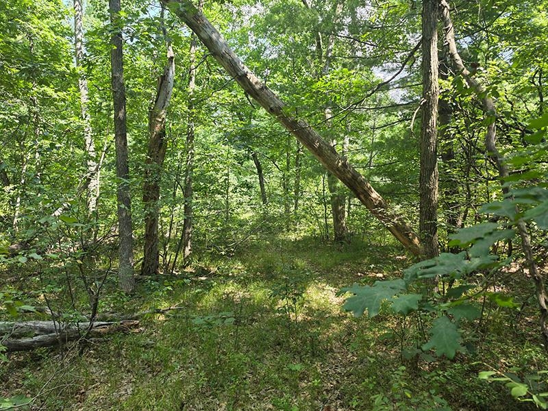 4th image of Lot 166 James St, Wellston, MI 49689 | MLS# 80071977
