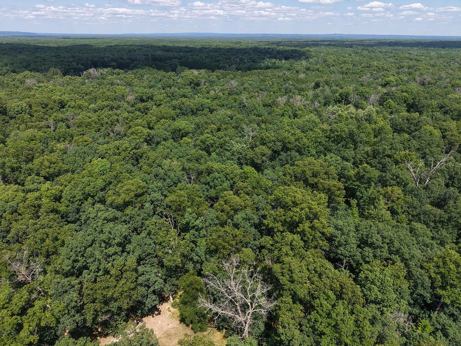 5th image of Lot 166 James St, Wellston, MI 49689 | MLS# 80071977