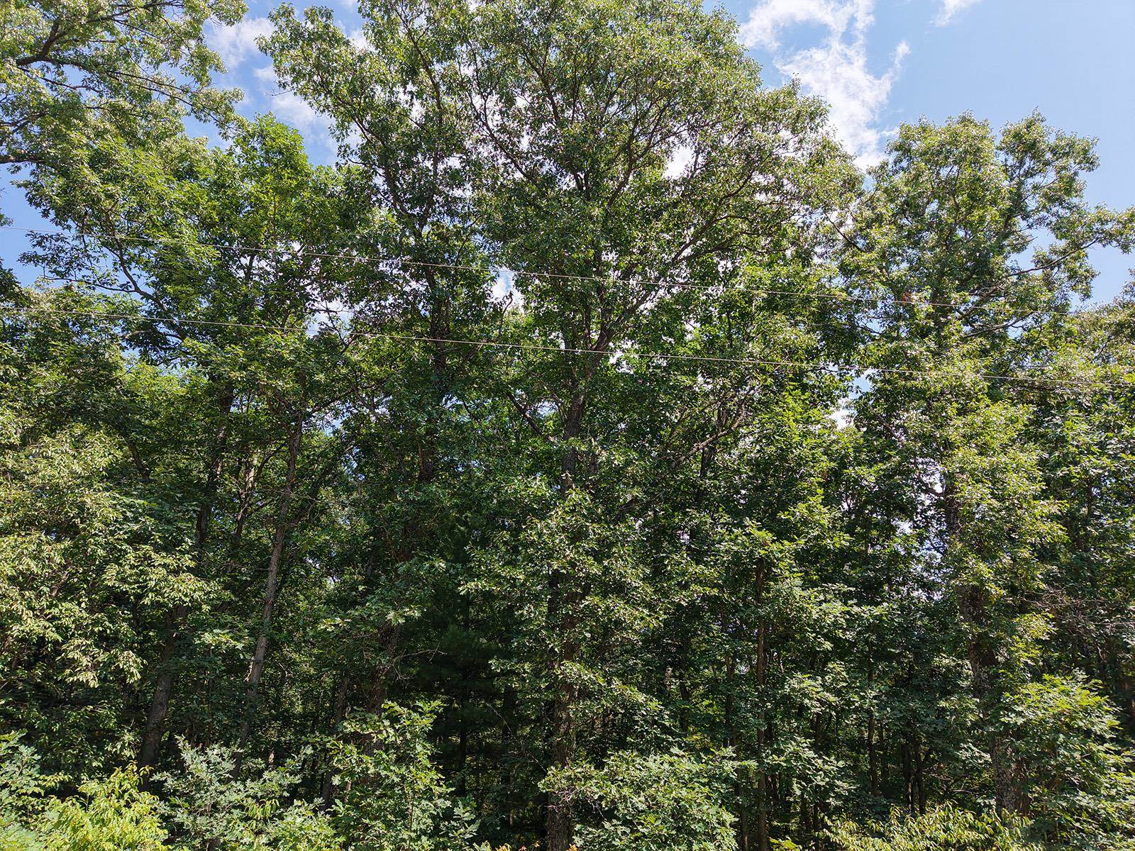 7th image of Lot 166 James St, Wellston, MI 49689 | MLS# 80071977
