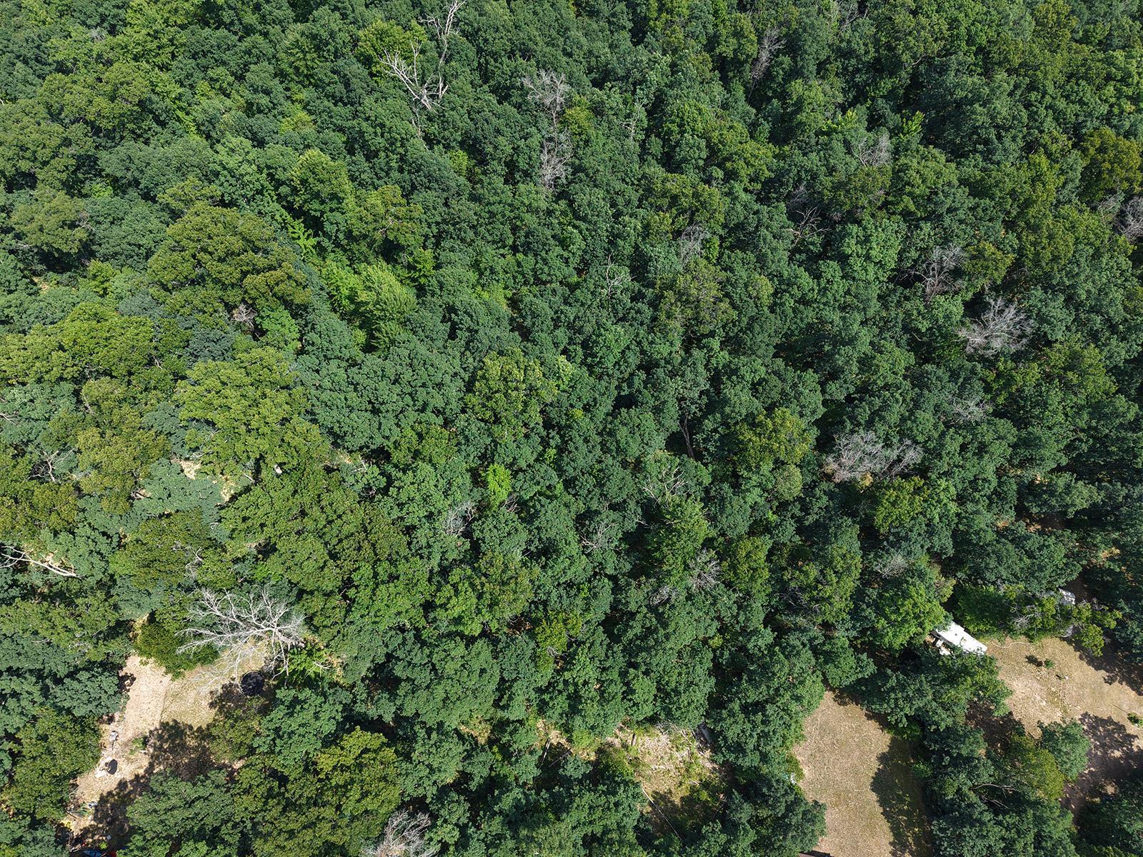 5th image of Lot 167 James St, Wellston, MI 49689 | MLS# 80071978