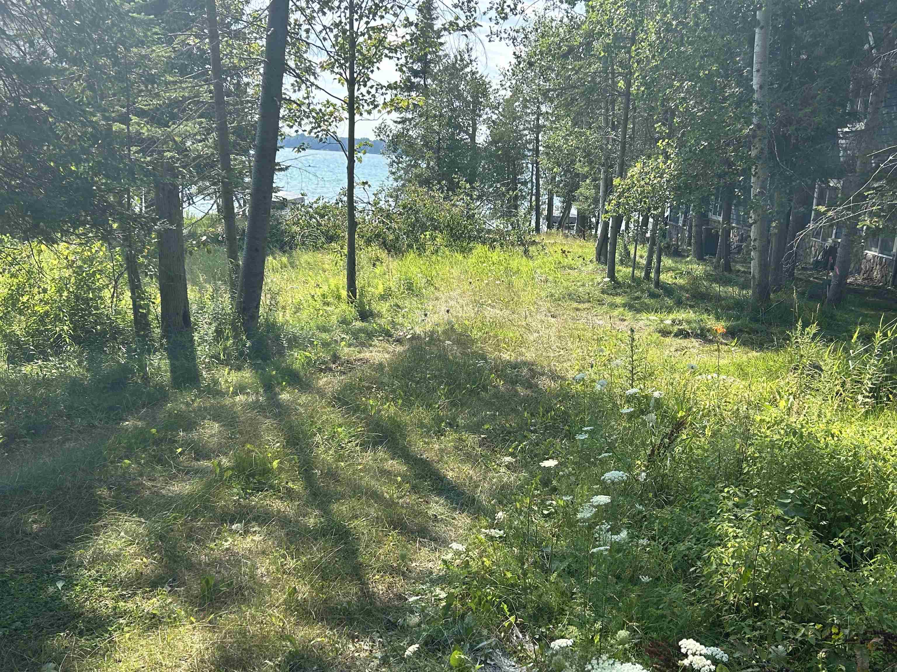 1st image of Lots 5 & 20 Wak Wing Dr, Central Lake, MI 49622 | MLS# 80071982