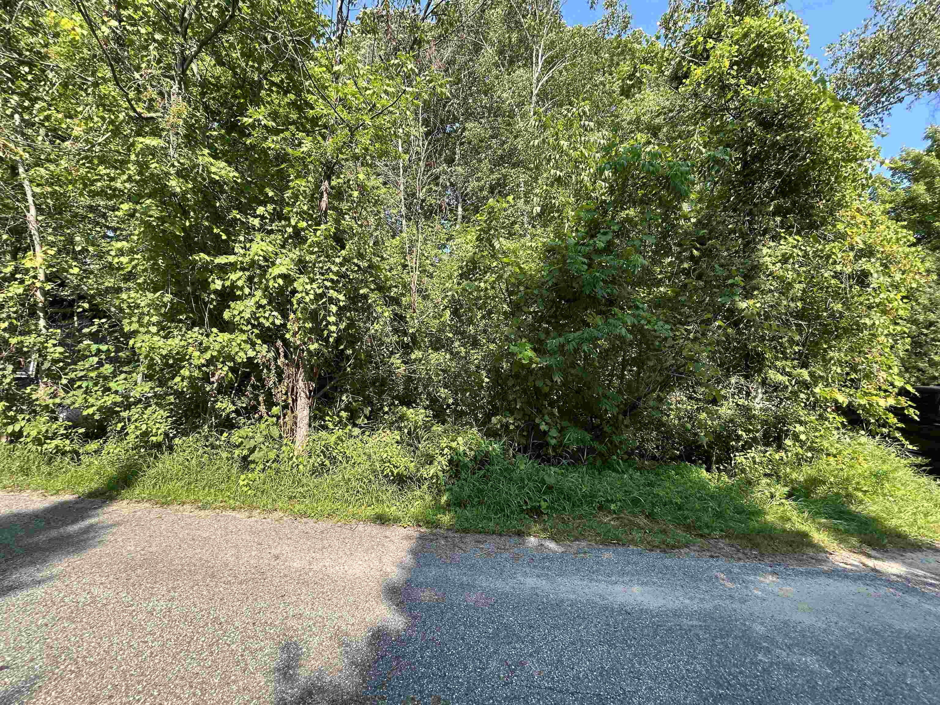 3rd image of Lots 5 & 20 Wak Wing Dr, Central Lake, MI 49622 | MLS# 80071982