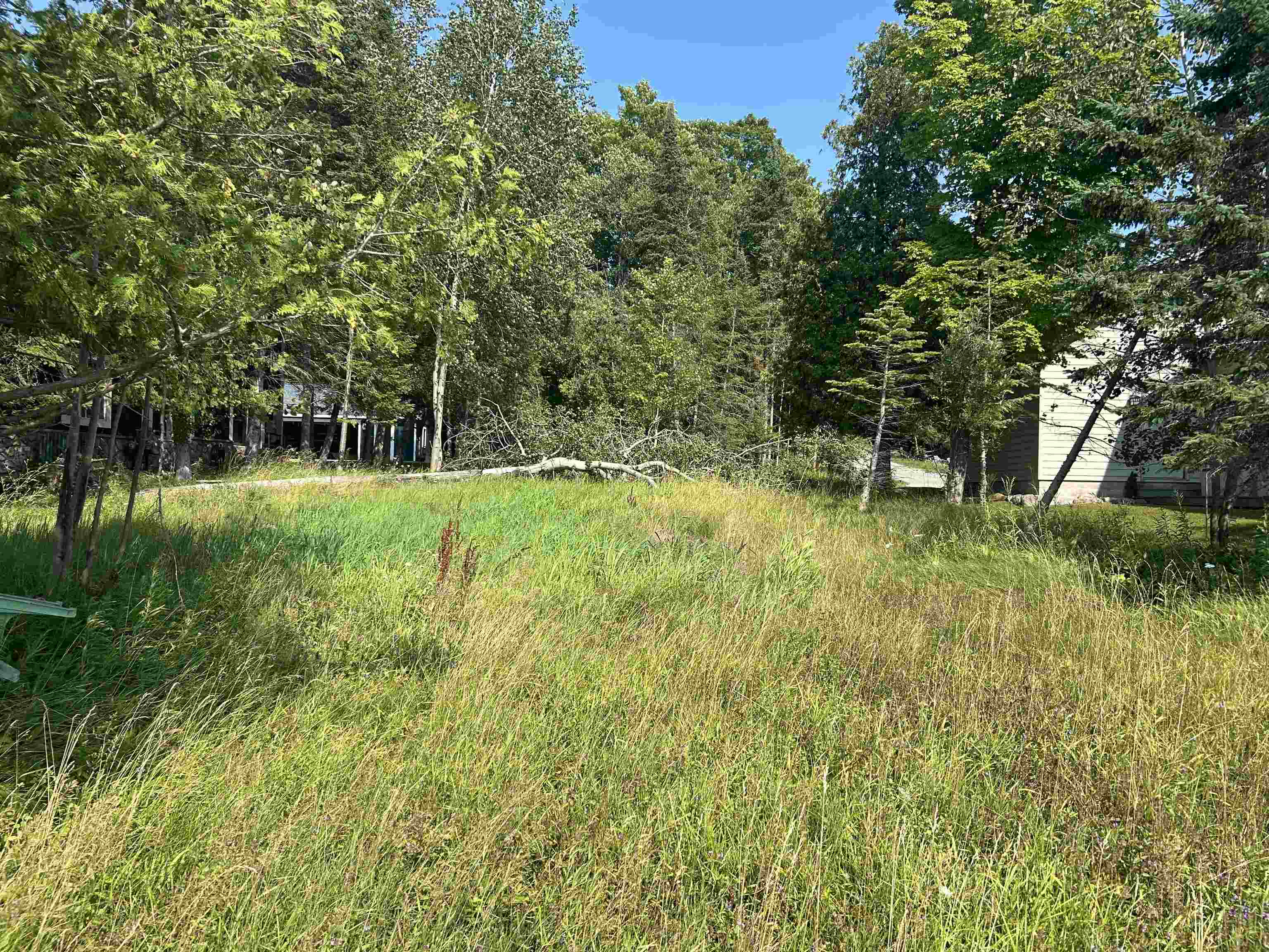 4th image of Lots 5 & 20 Wak Wing Dr, Central Lake, MI 49622 | MLS# 80071982