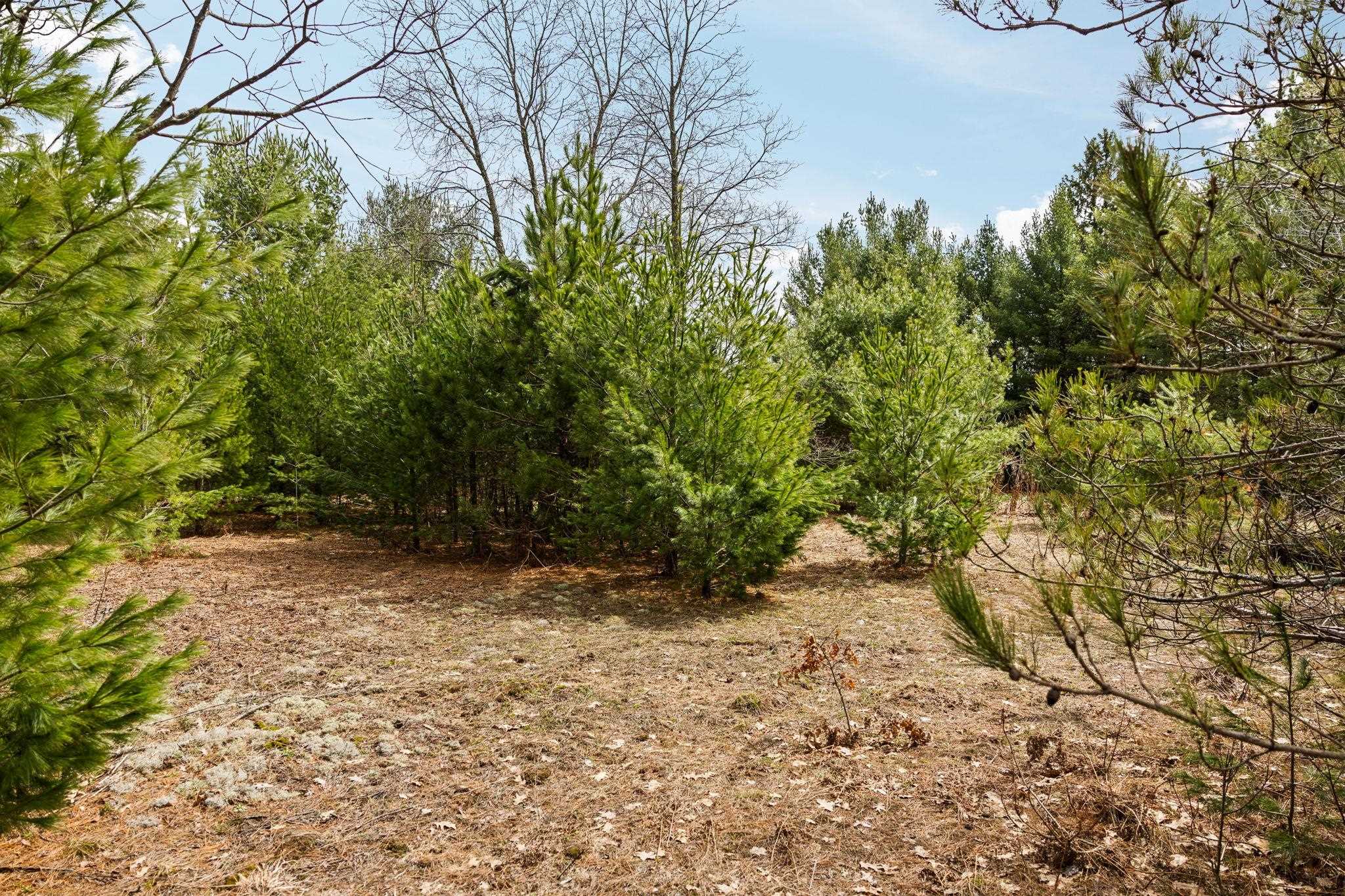 5th image of #31 Old Cabin Dr, Interlochen, MI 49634 | MLS# 80071991