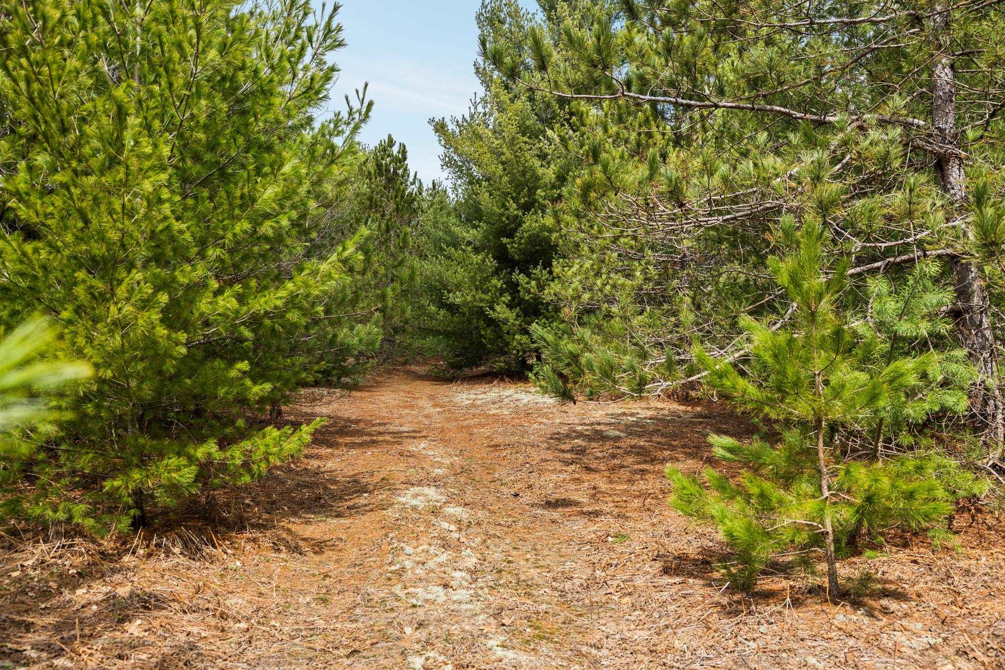 6th image of #31 Old Cabin Dr, Interlochen, MI 49634 | MLS# 80071991