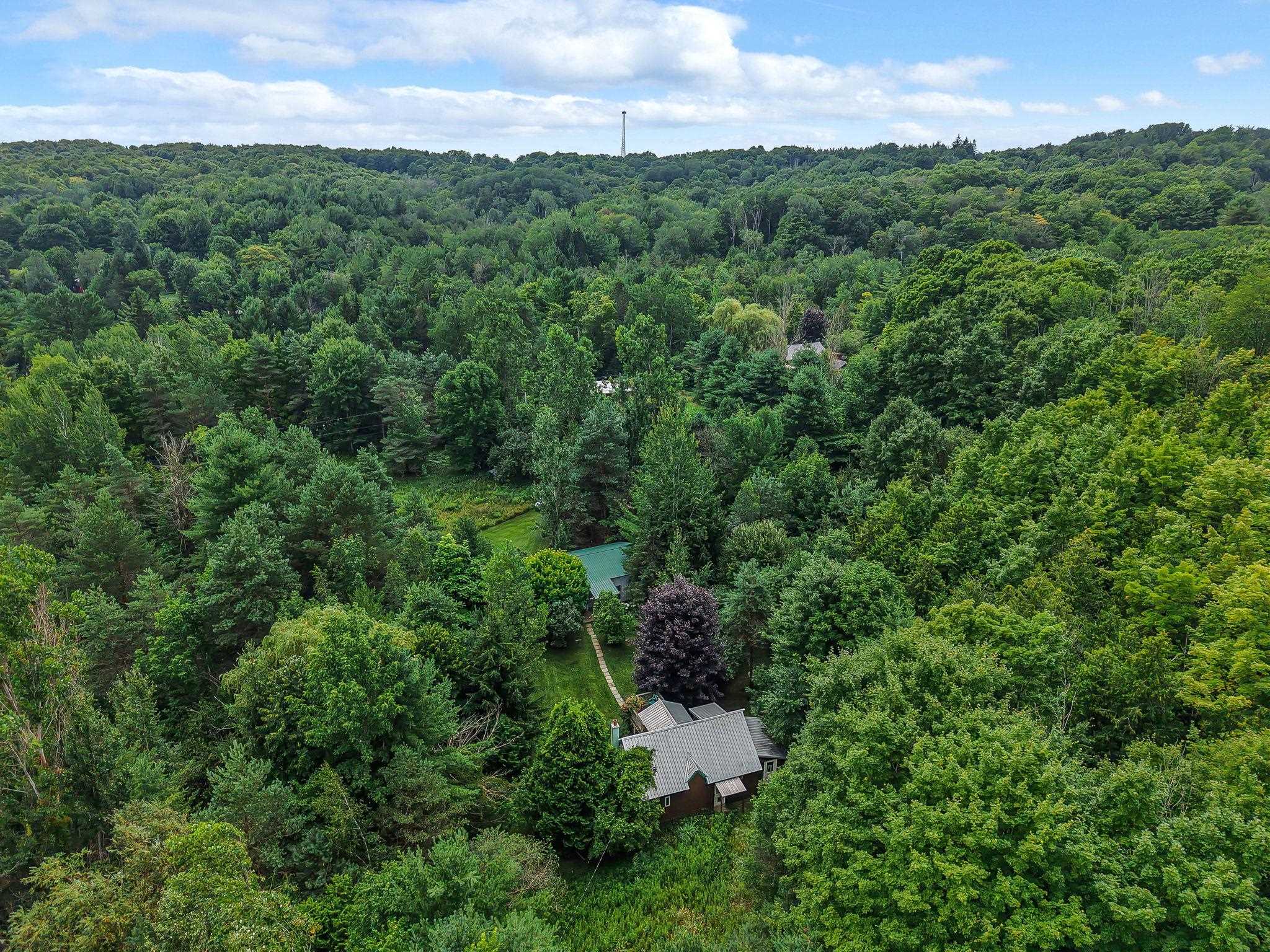65th image of 8594 W Old State Rd, Central Lake, MI 49622 | MLS# 80072038
