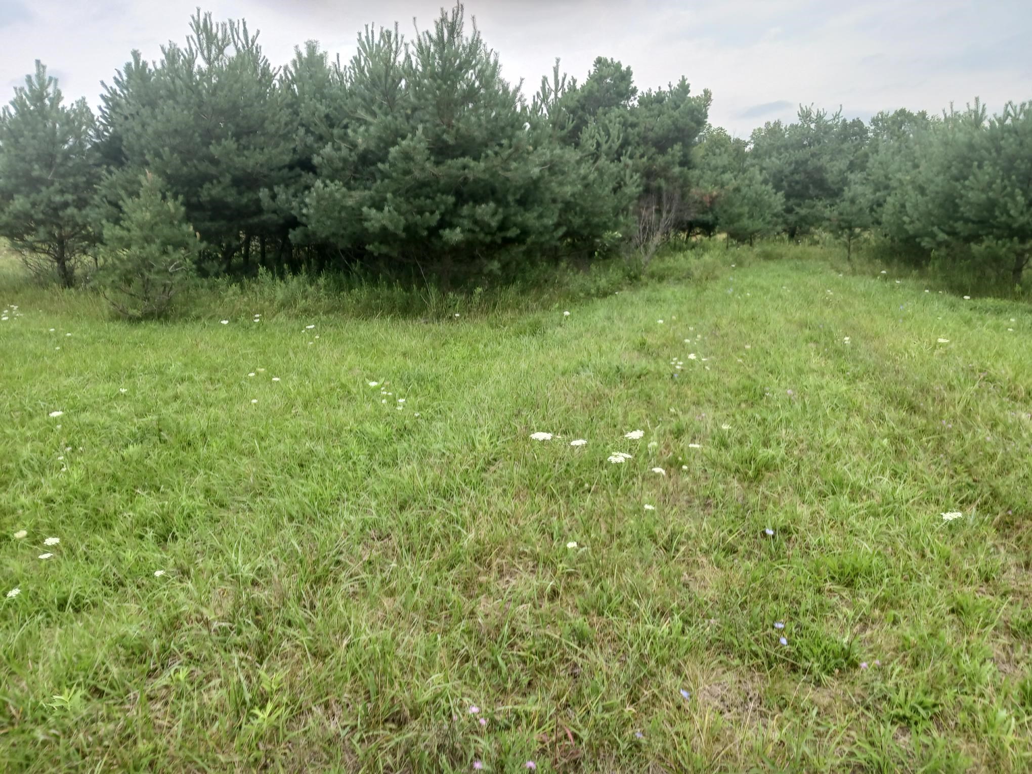 1st image of 0 M 55, Prescott, MI 48756 | MLS# 80072046