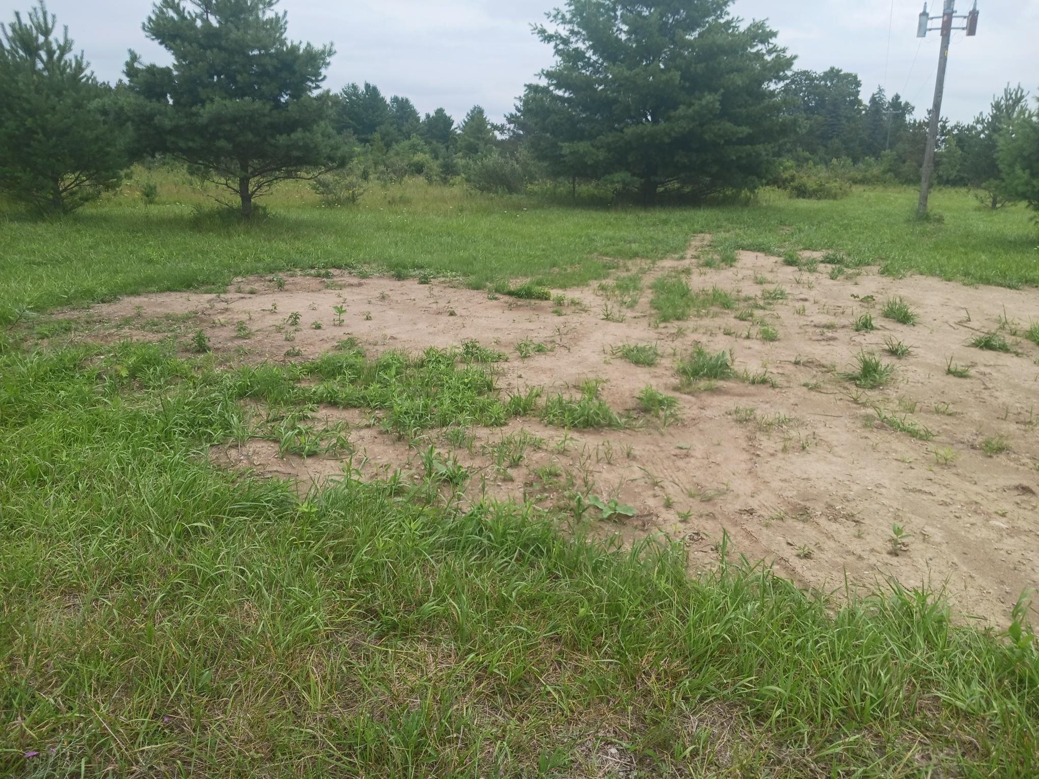 2nd image of 0 M 55, Prescott, MI 48756 | MLS# 80072046