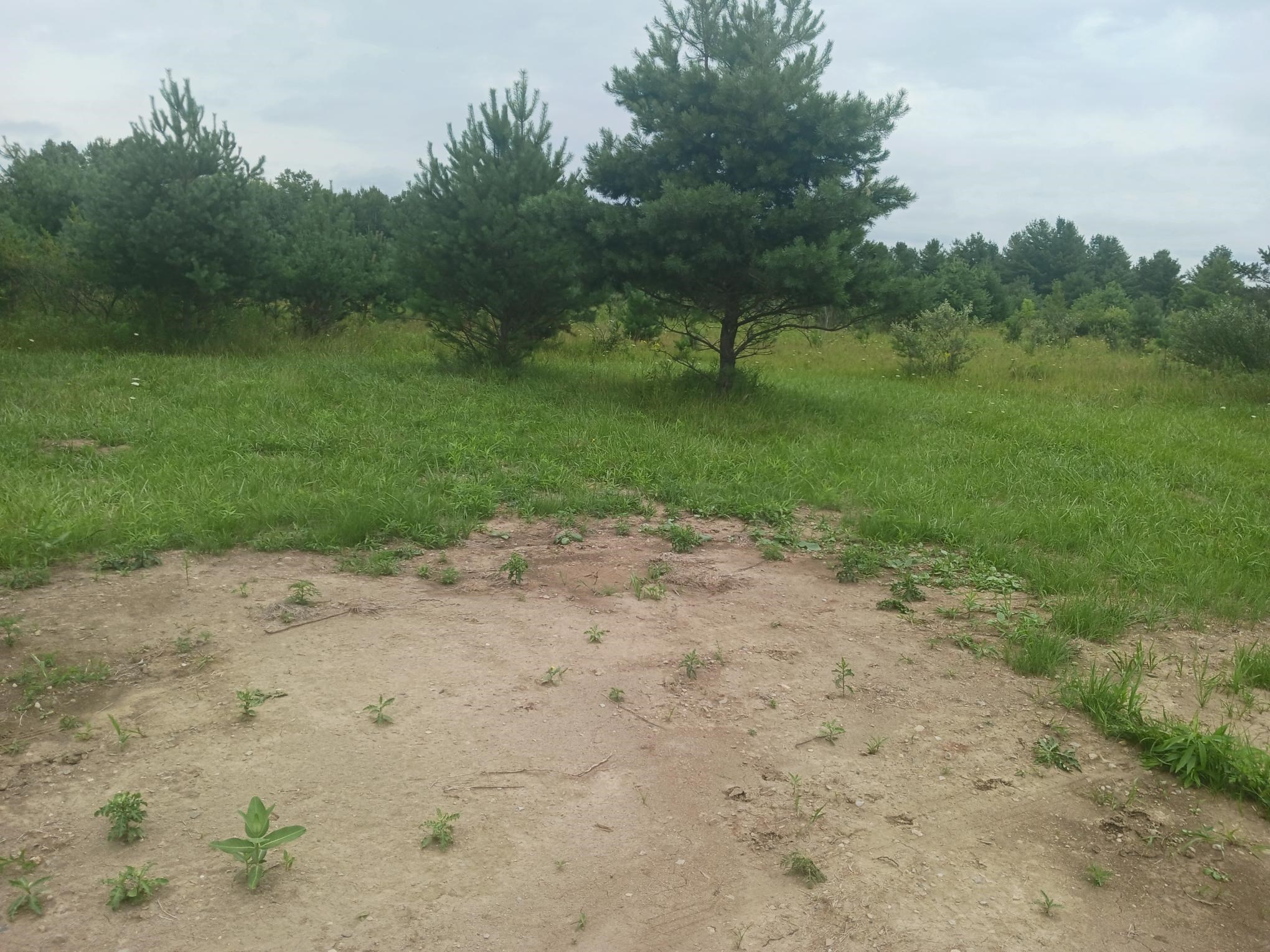 3rd image of 0 M-55, Prescott, MI 48756 | MLS# 80072046