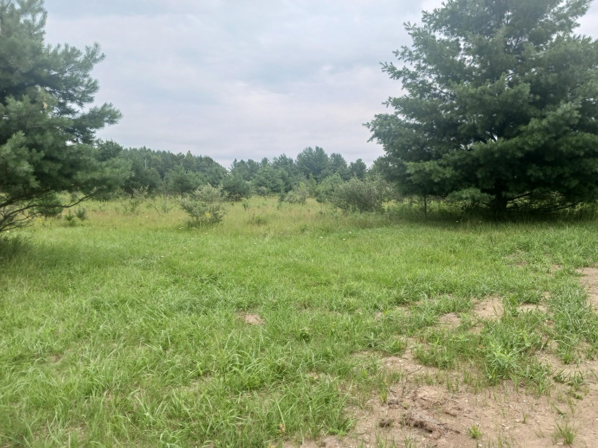 4th image of 0 M-55, Prescott, MI 48756 | MLS# 80072046