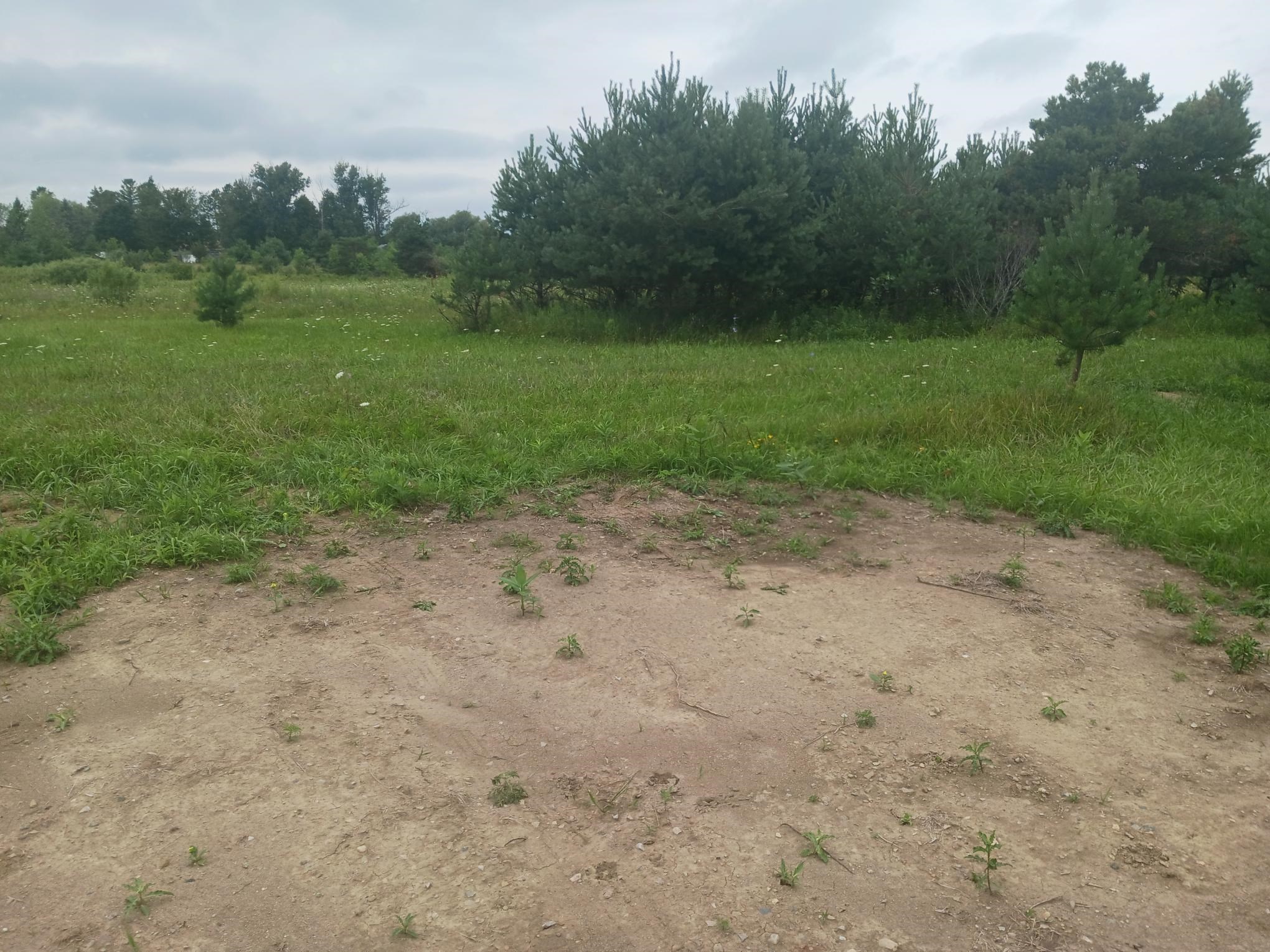 5th image of 0 M-55, Prescott, MI 48756 | MLS# 80072046