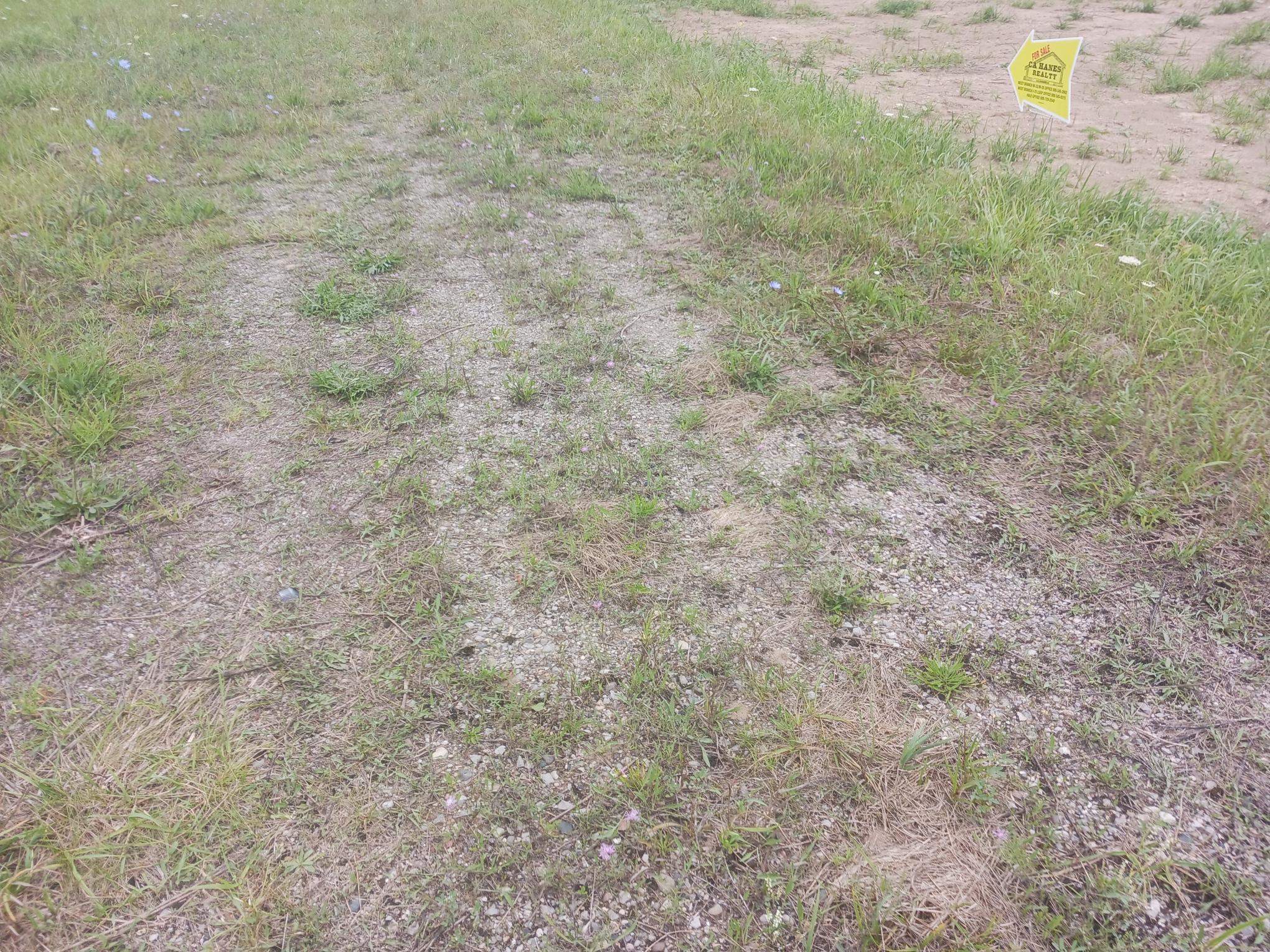 7th image of 0 M 55, Prescott, MI 48756 | MLS# 80072046