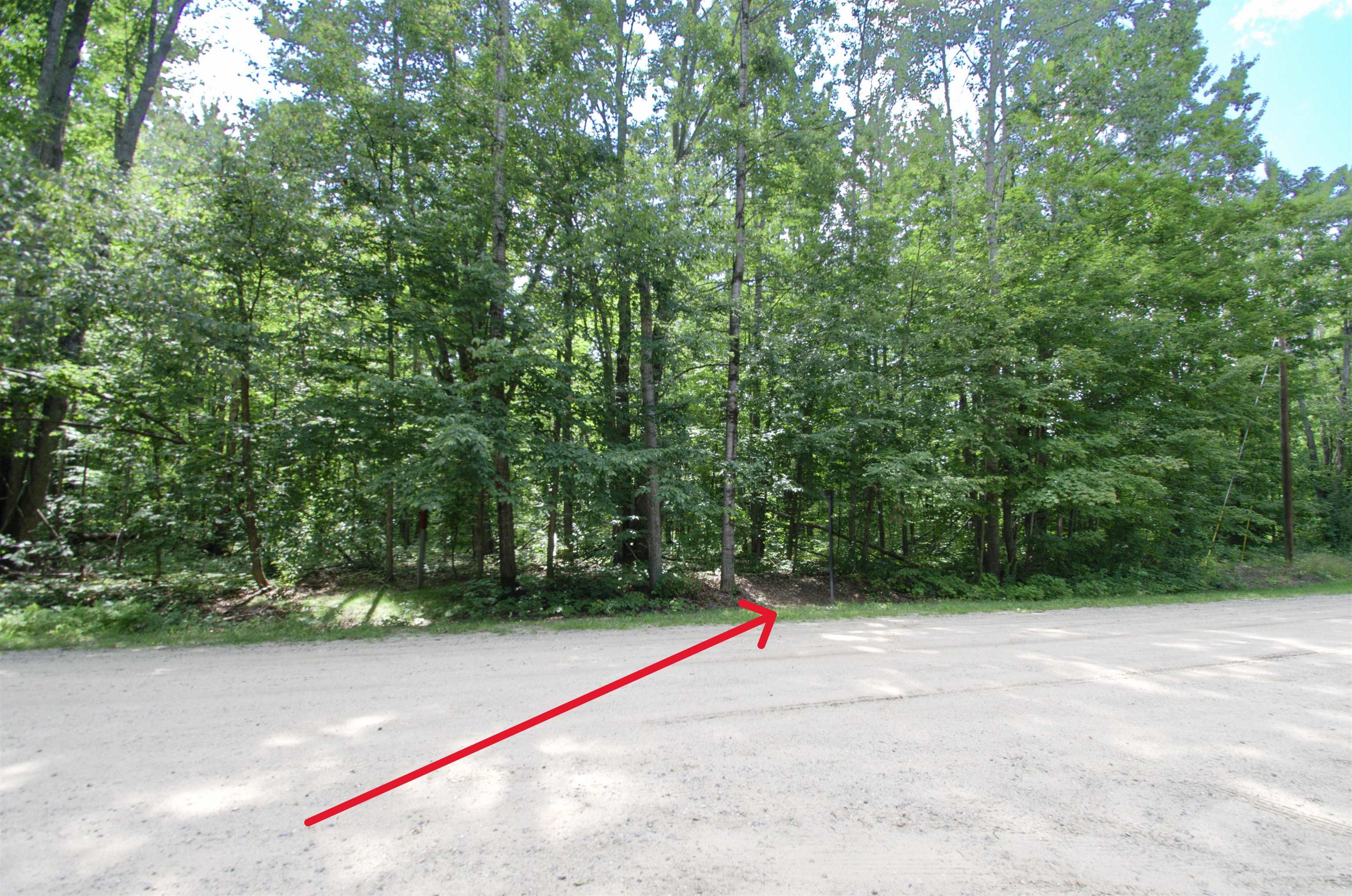 3rd image of Tbd Valleyview Dr, Elmira, MI 49730 | MLS# 80072048