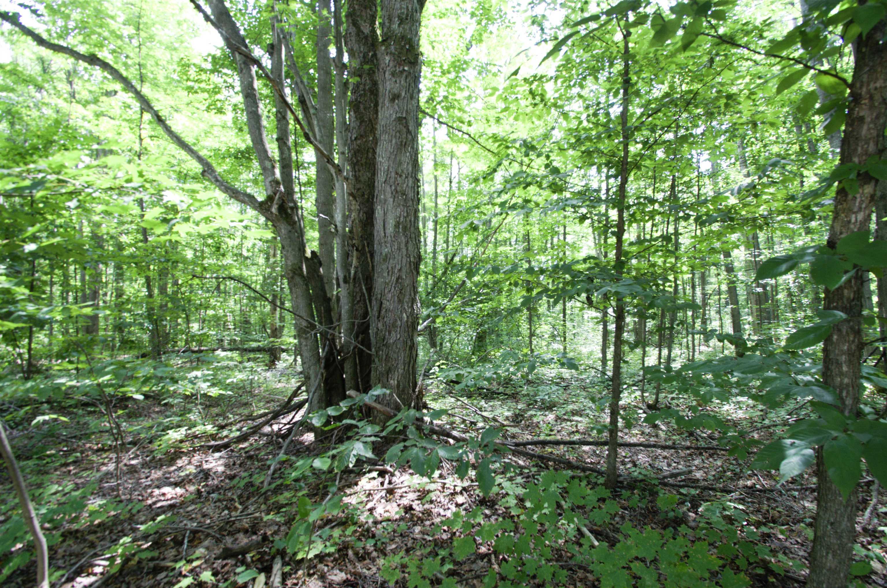5th image of Tbd Valleyview Dr, Elmira, MI 49730 | MLS# 80072048