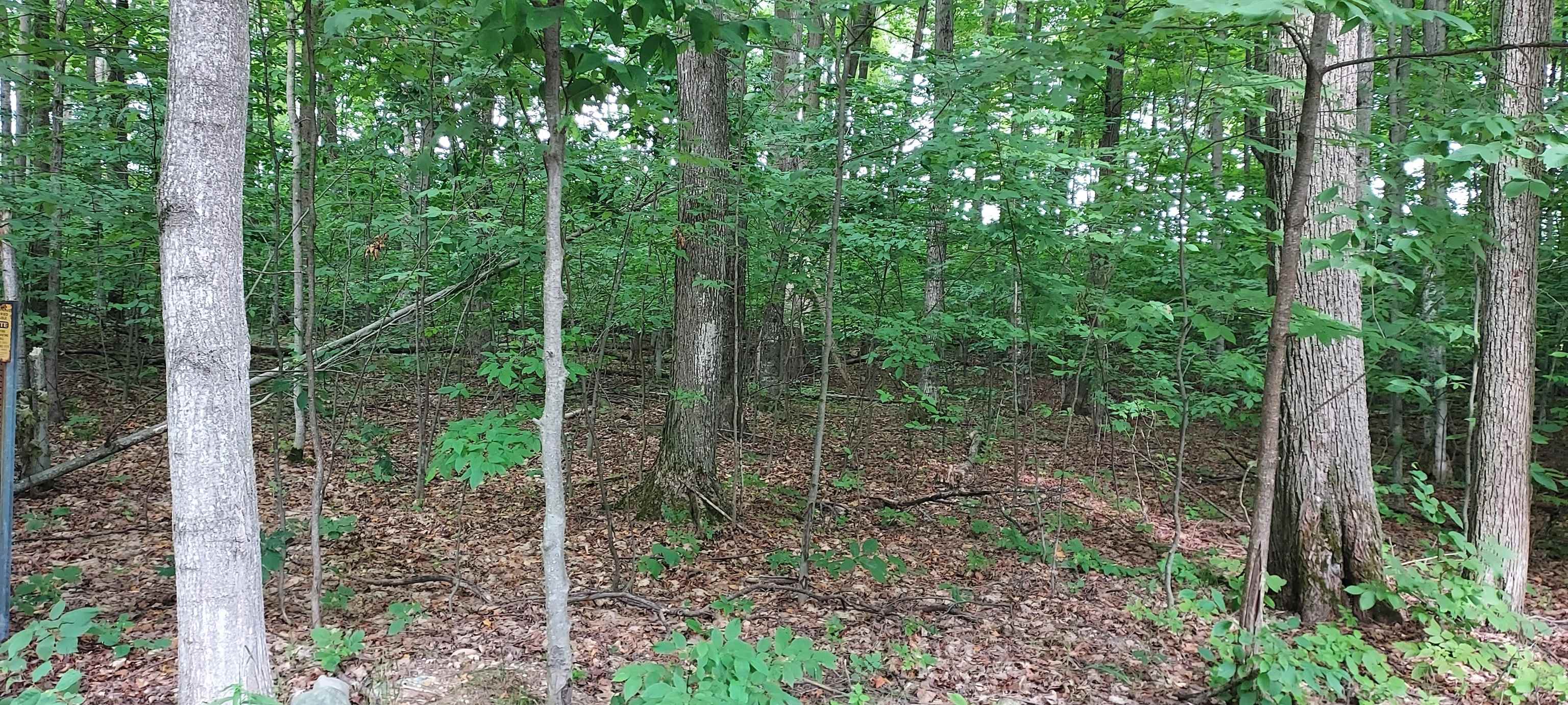 3rd image of 19 Beech Knl, Bellaire, MI 49615 | MLS# 80072055