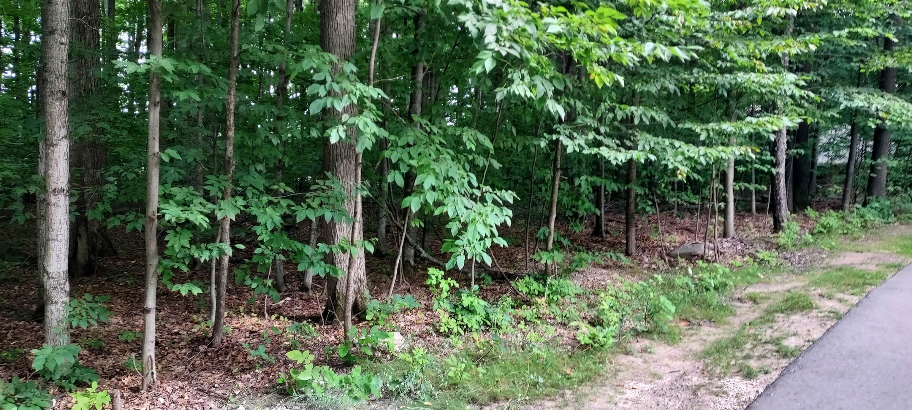 4th image of 19 Beech Knl, Bellaire, MI 49615 | MLS# 80072055