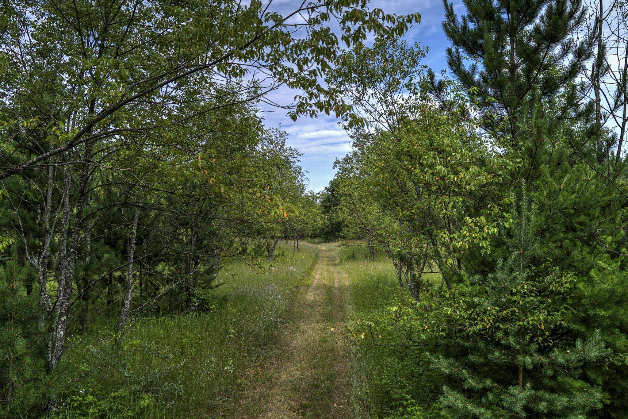 42nd image of 2625 Walton Rd, Kingsley, MI 49649 | MLS# 80072057