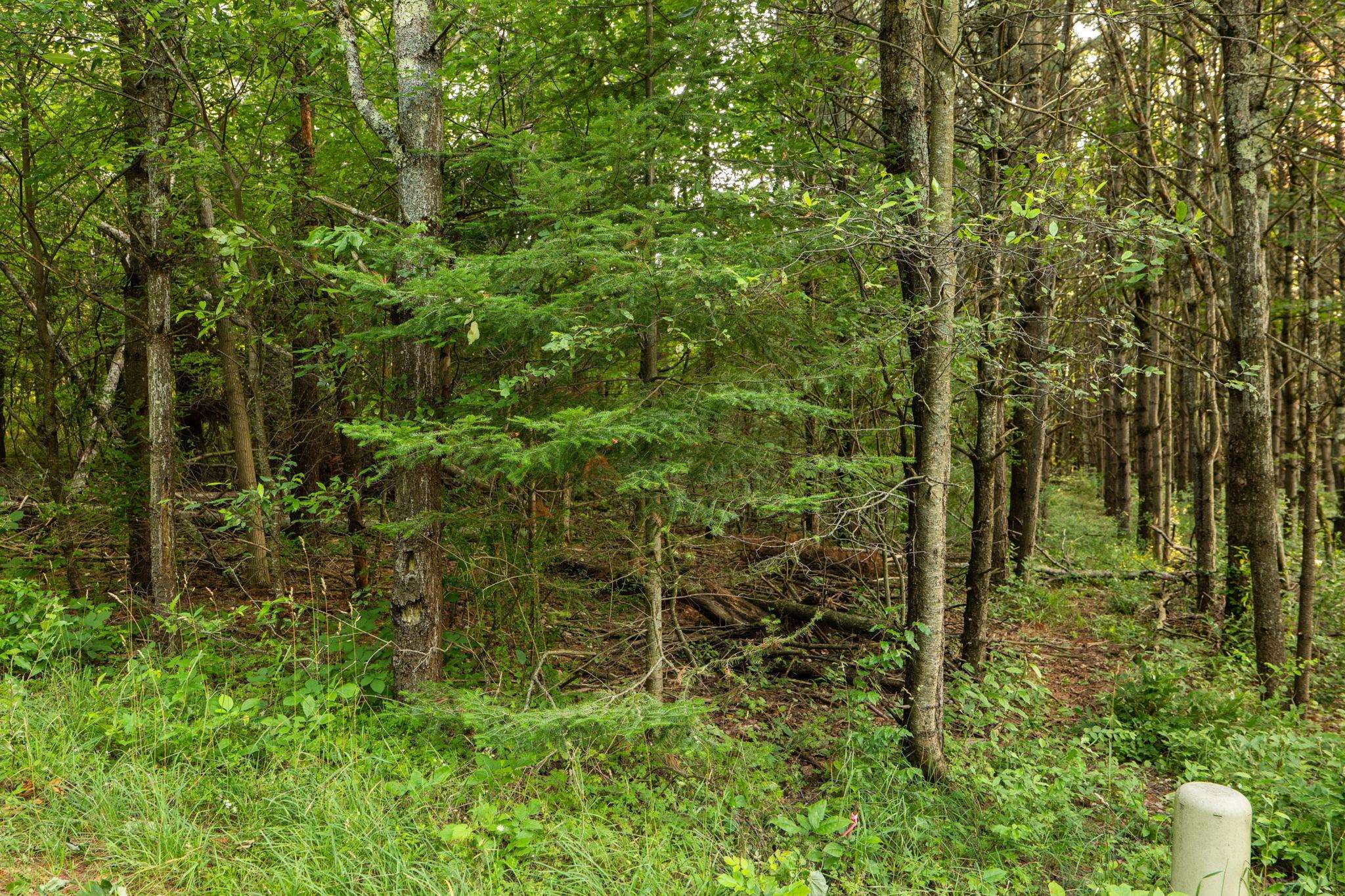 2nd image of Parcel D Vincer Wy, Northport, MI 49670 | MLS# 80072074