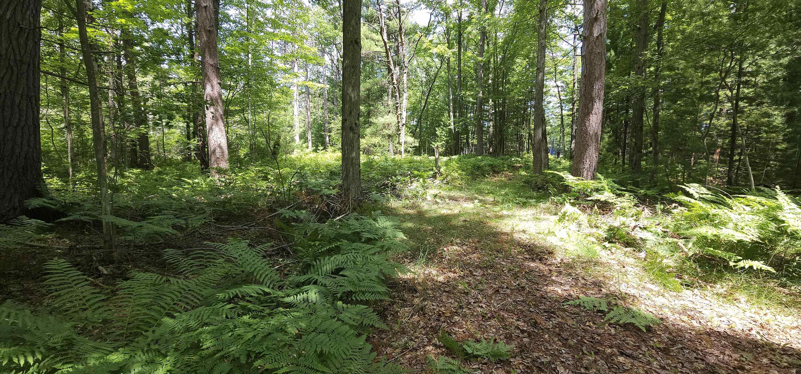 5th image of 00 Red Oak Dr, Prescott, MI 48756 | MLS# 80072093