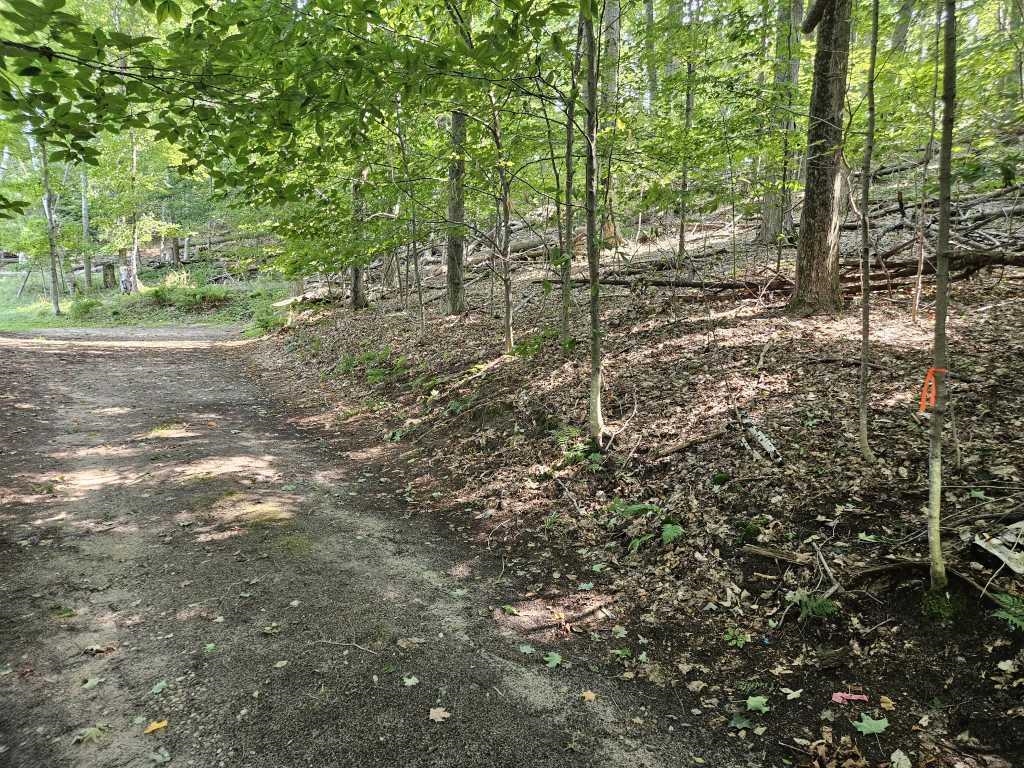 2nd image of 0 Figg Rd, Frankfort, MI 49635 | MLS# 80072099