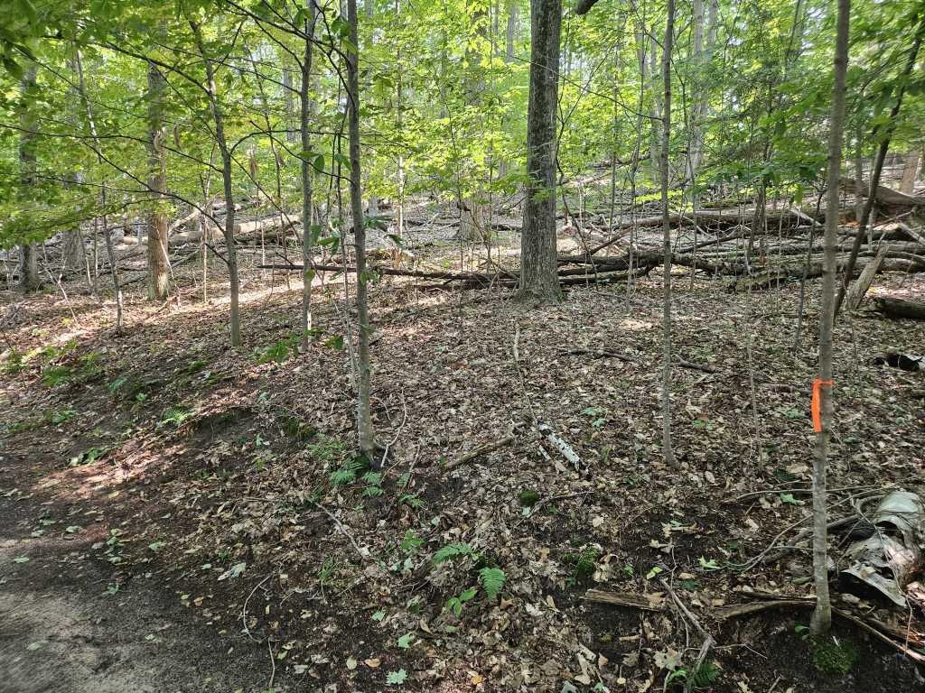 5th image of 0 Figg Rd, Frankfort, MI 49635 | MLS# 80072099