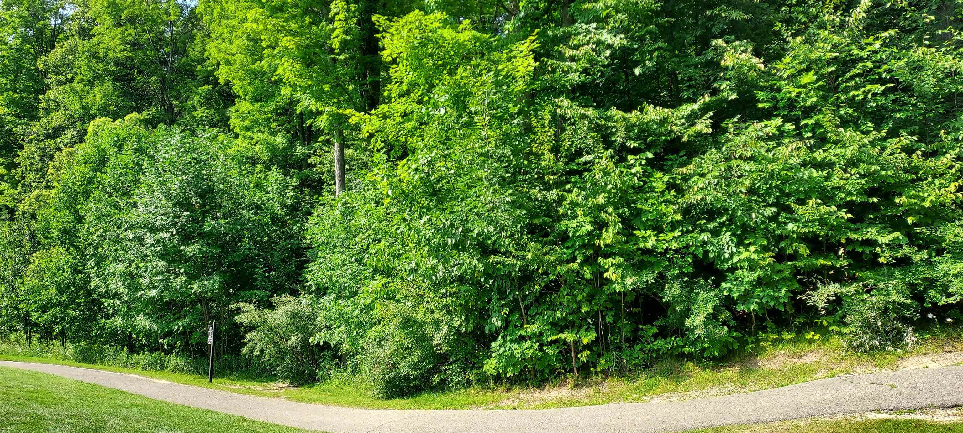 2nd image of 105 Legend Trl, Bellaire, MI 49615 | MLS# 80072103
