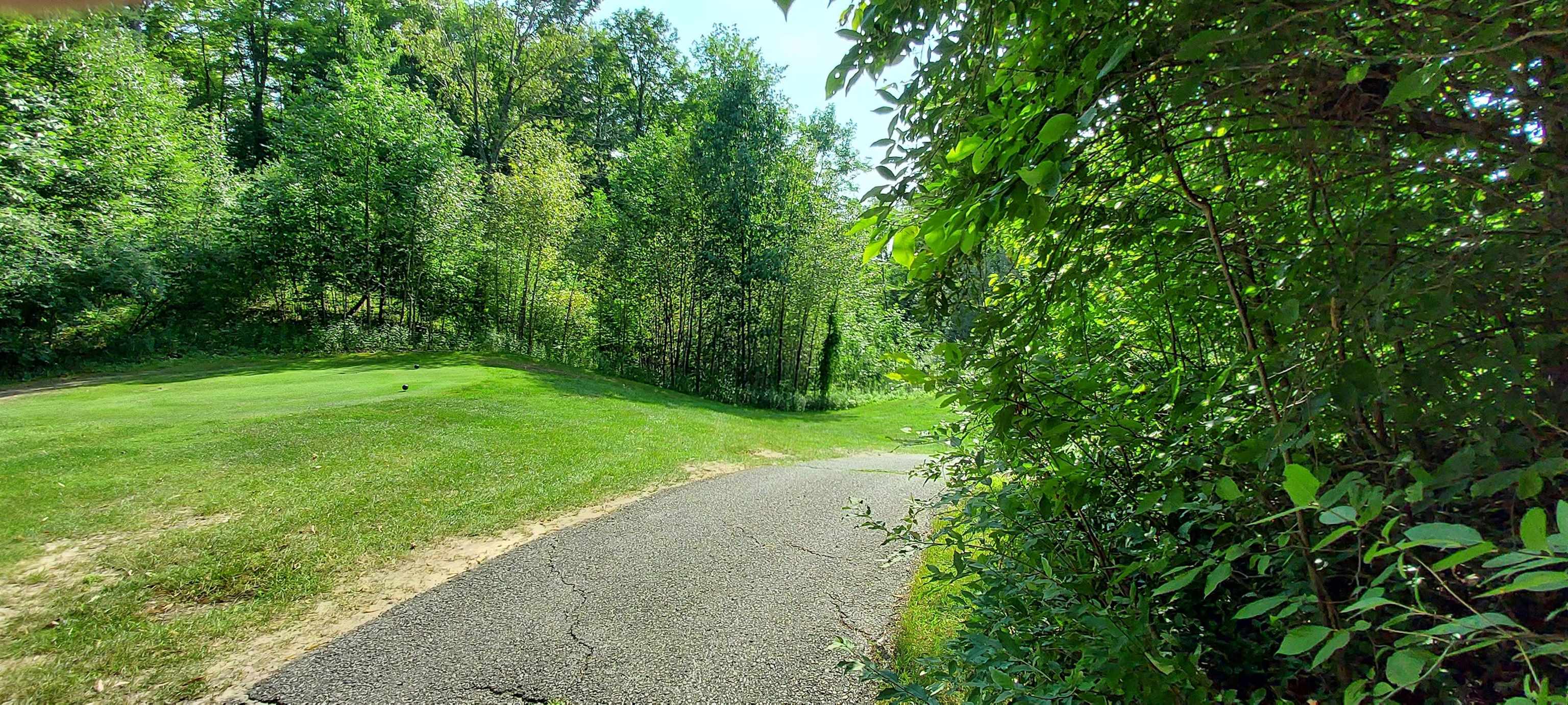 3rd image of 105 Legend Trl, Bellaire, MI 49615 | MLS# 80072103