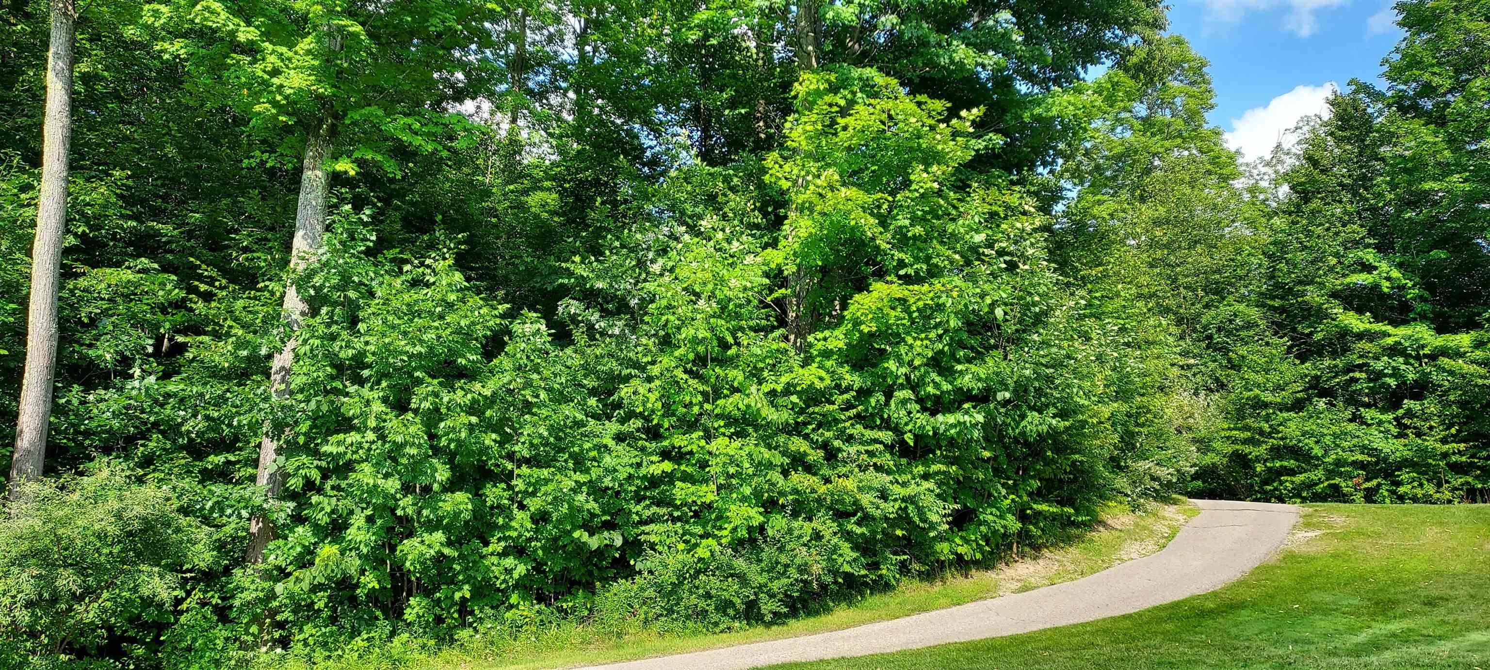 5th image of 105 Legend Trl, Bellaire, MI 49615 | MLS# 80072103