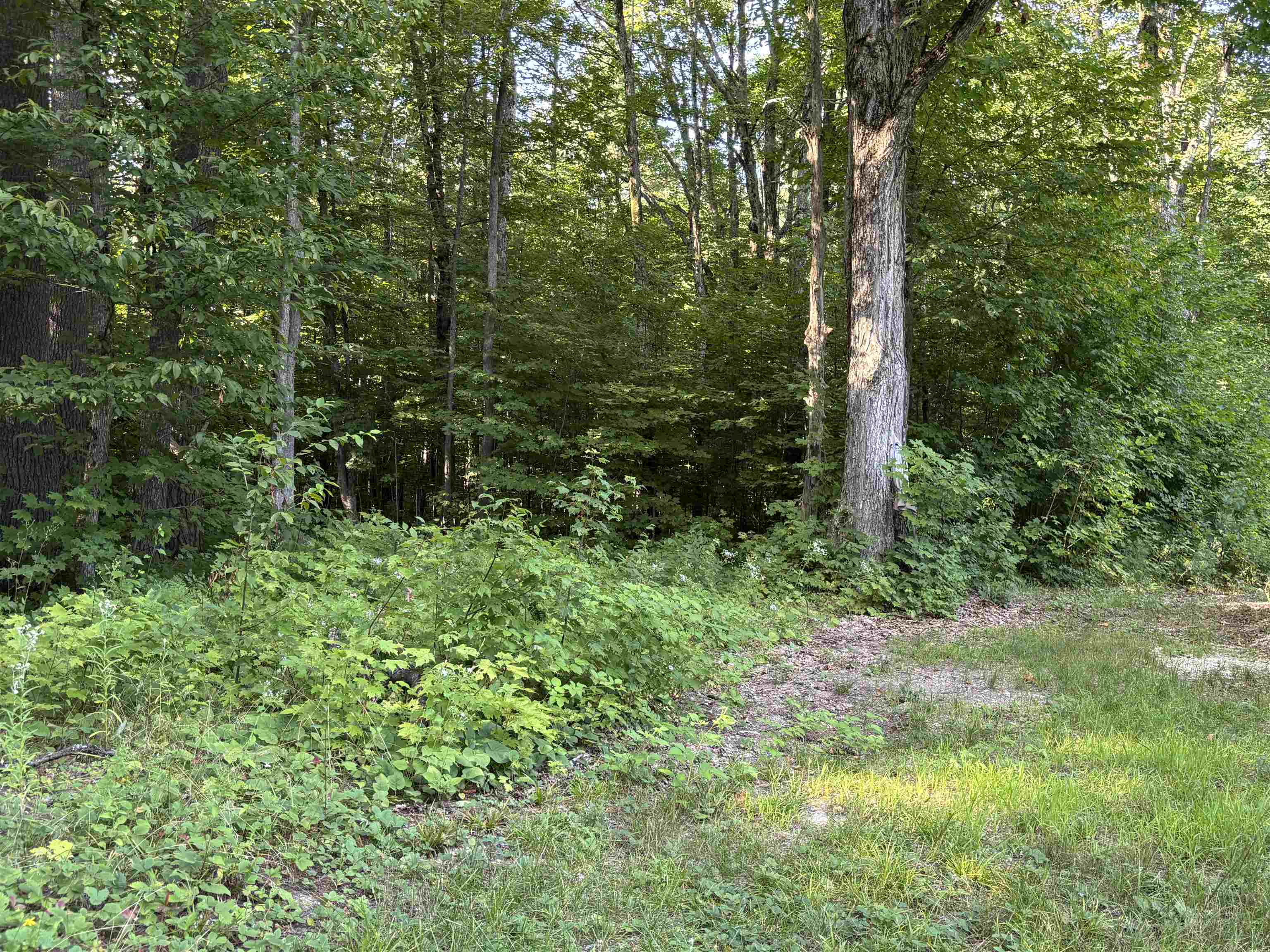 21st image of 6493 Plainfield Trl, Elmira, MI 49730 | MLS# 80072111