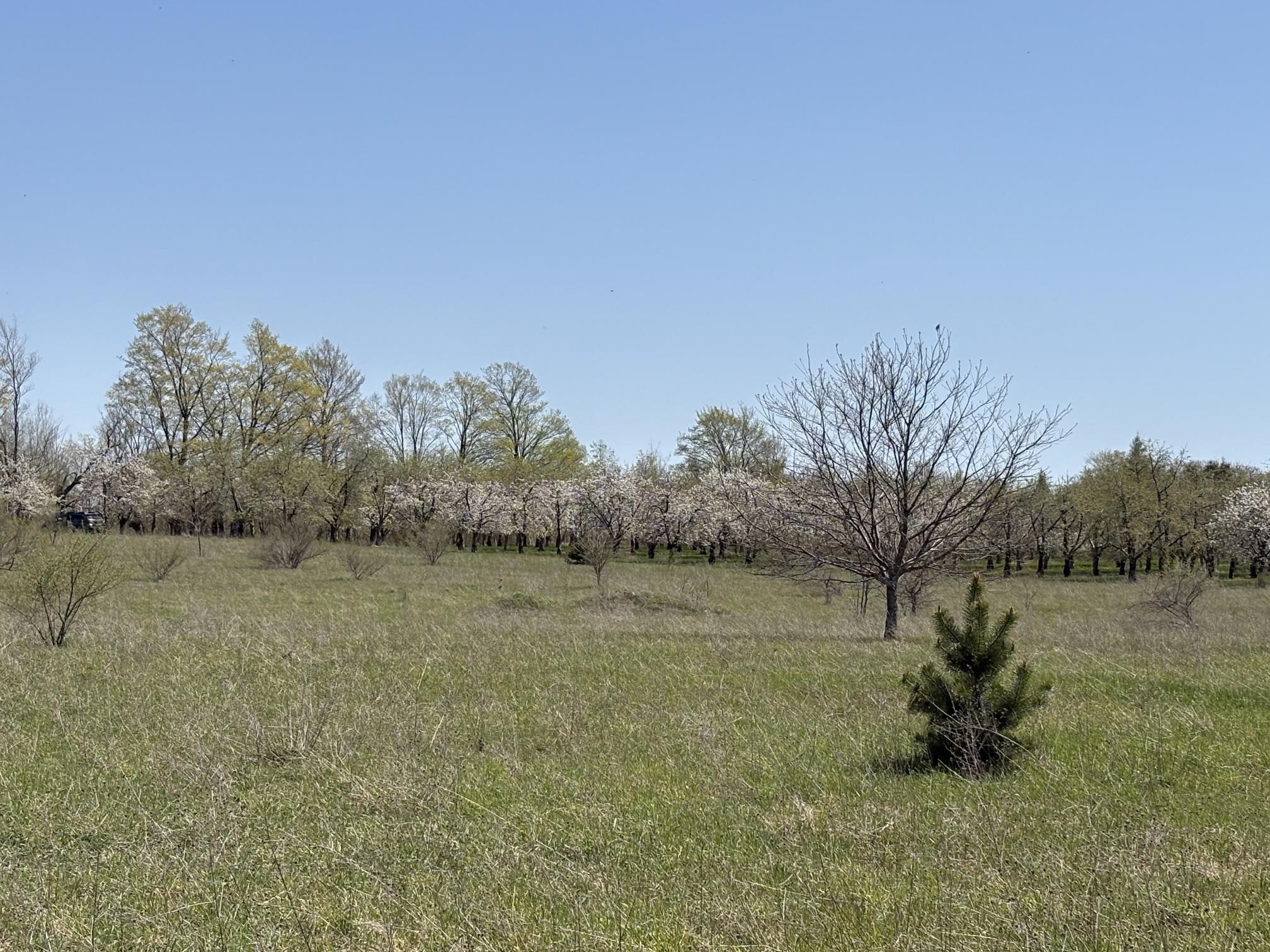 19th image of 00 E Lovers Ln, Suttons Bay, MI 49682 | MLS# 80072123