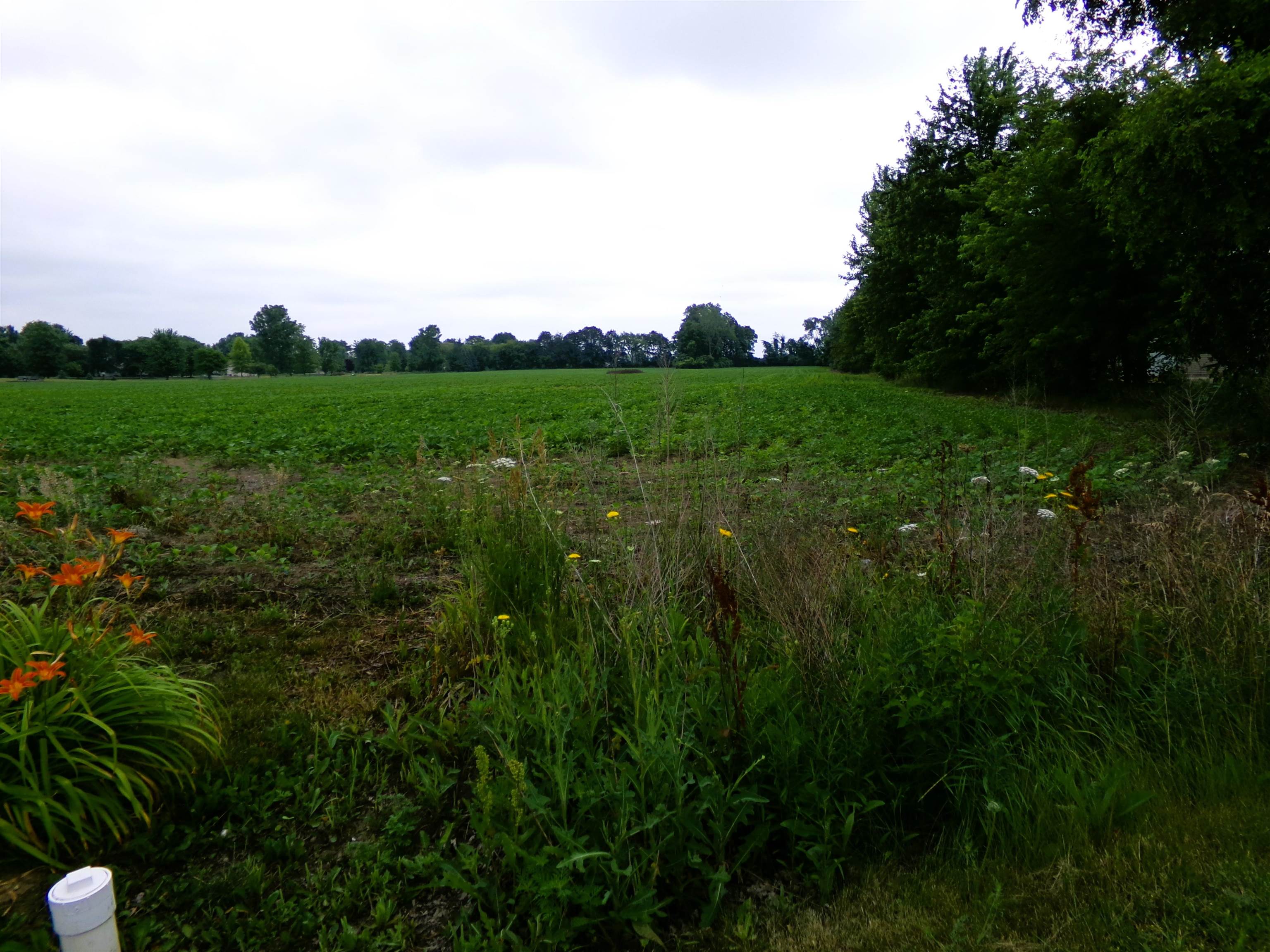 image of Tbd Garfield Rd, Saginaw, MI 48603 | MLS# 80072129