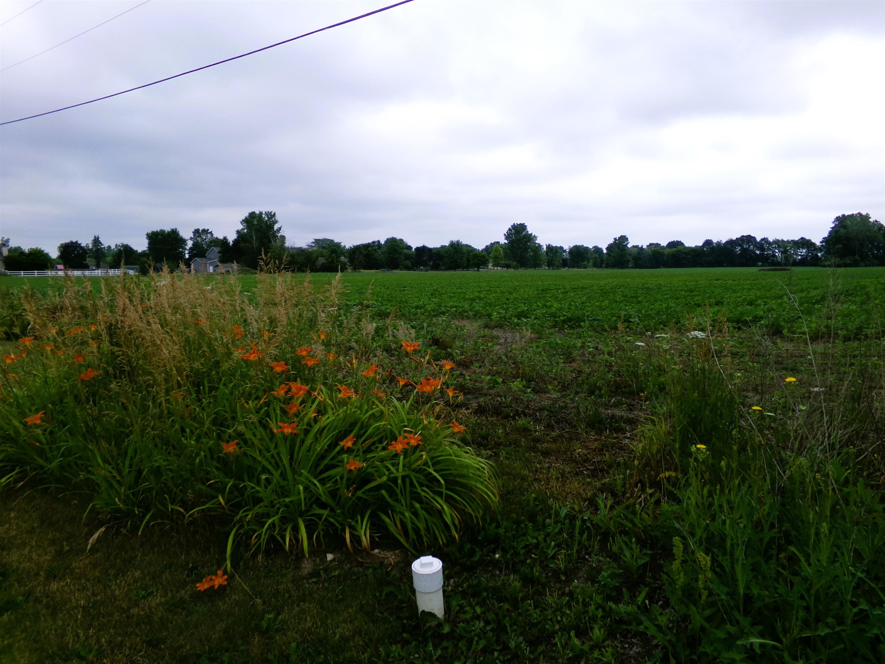 image of Tbd Garfield Rd, Saginaw, MI 48603 | MLS# 80072129
