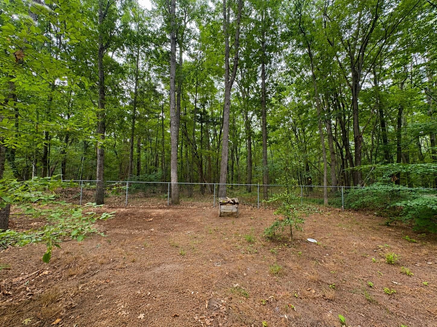 Photo 3 of Single family home for sale at 8903 Vagabond Ln, Interlochen, MI 49643 | MLS# 78080072132 | Listing updated on 2026-10-05