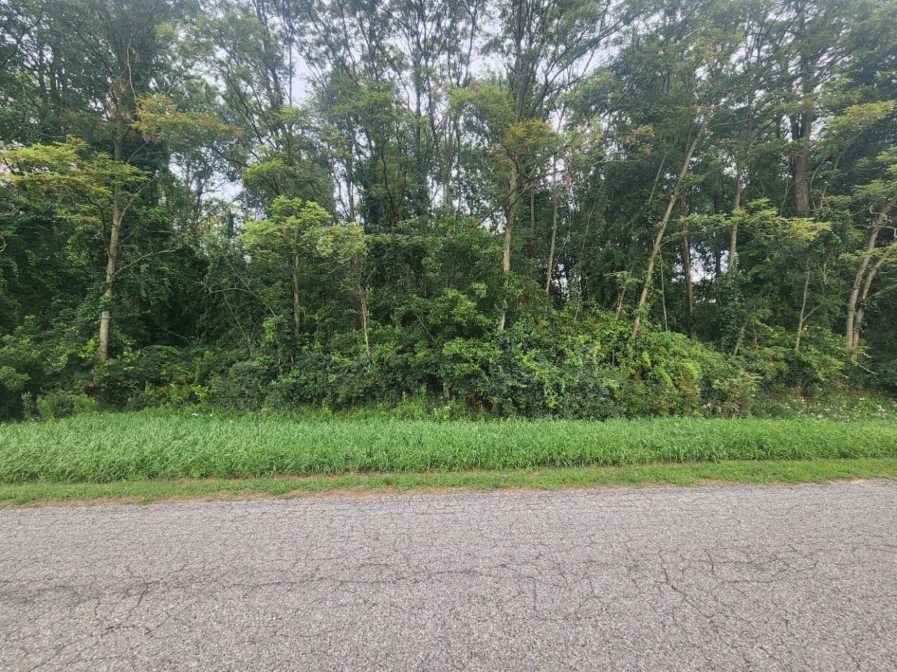 1st image of Kerry Rd, Onekama, MI 49675 | MLS# 80072140