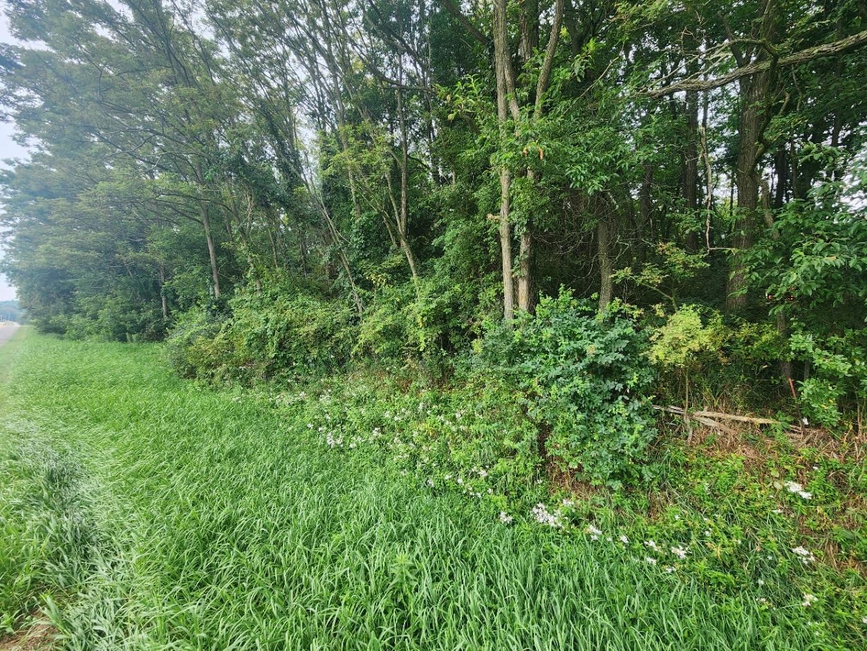 2nd image of Kerry Rd, Onekama, MI 49675 | MLS# 80072140