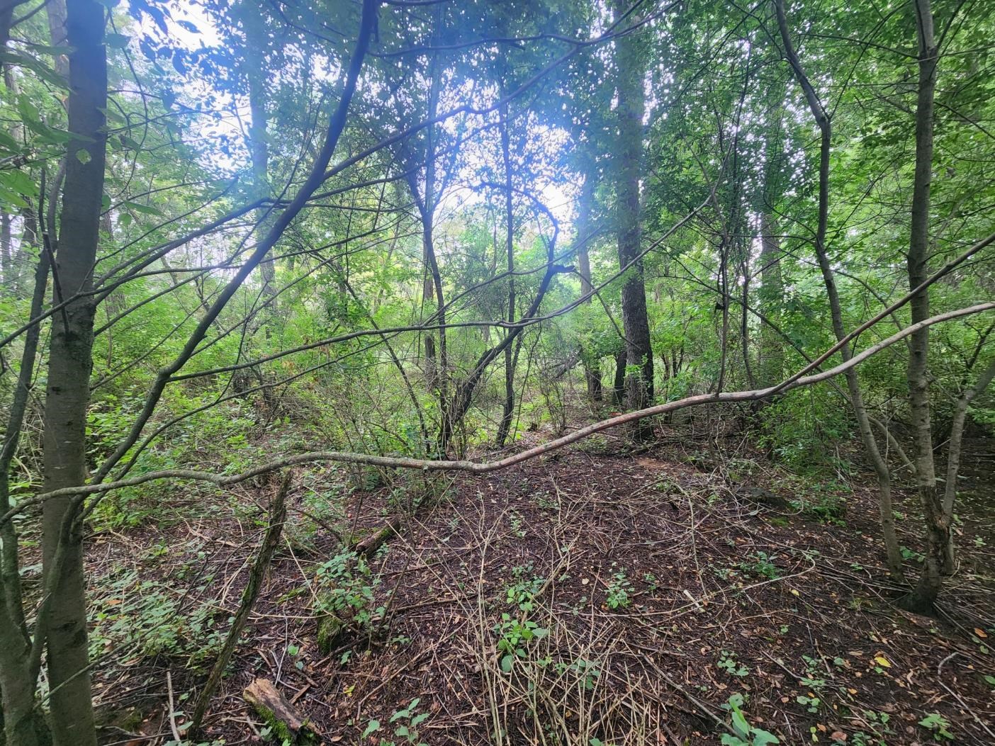 4th image of Kerry Rd, Onekama, MI 49675 | MLS# 80072140
