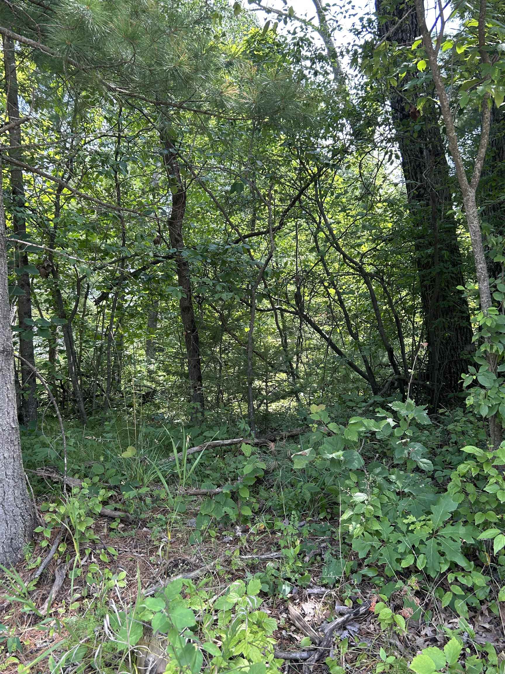 1st image of Vl 828 Choctaw Trl, West Branch, MI 48661 | MLS# 80072170
