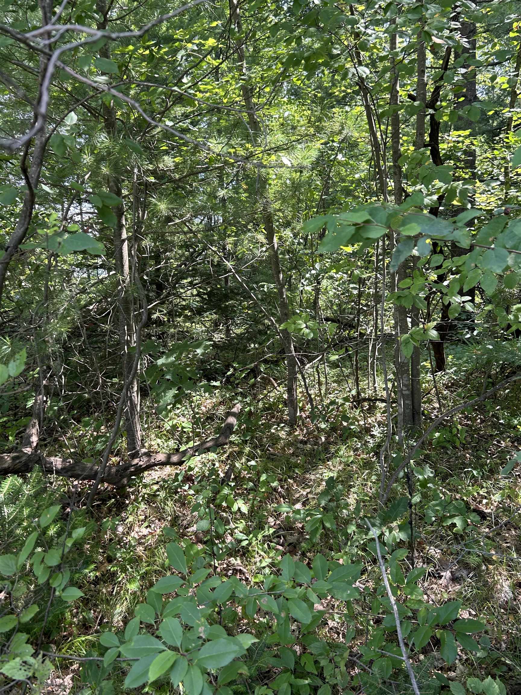2nd image of Vl 828 Choctaw Trl, West Branch, MI 48661 | MLS# 80072170