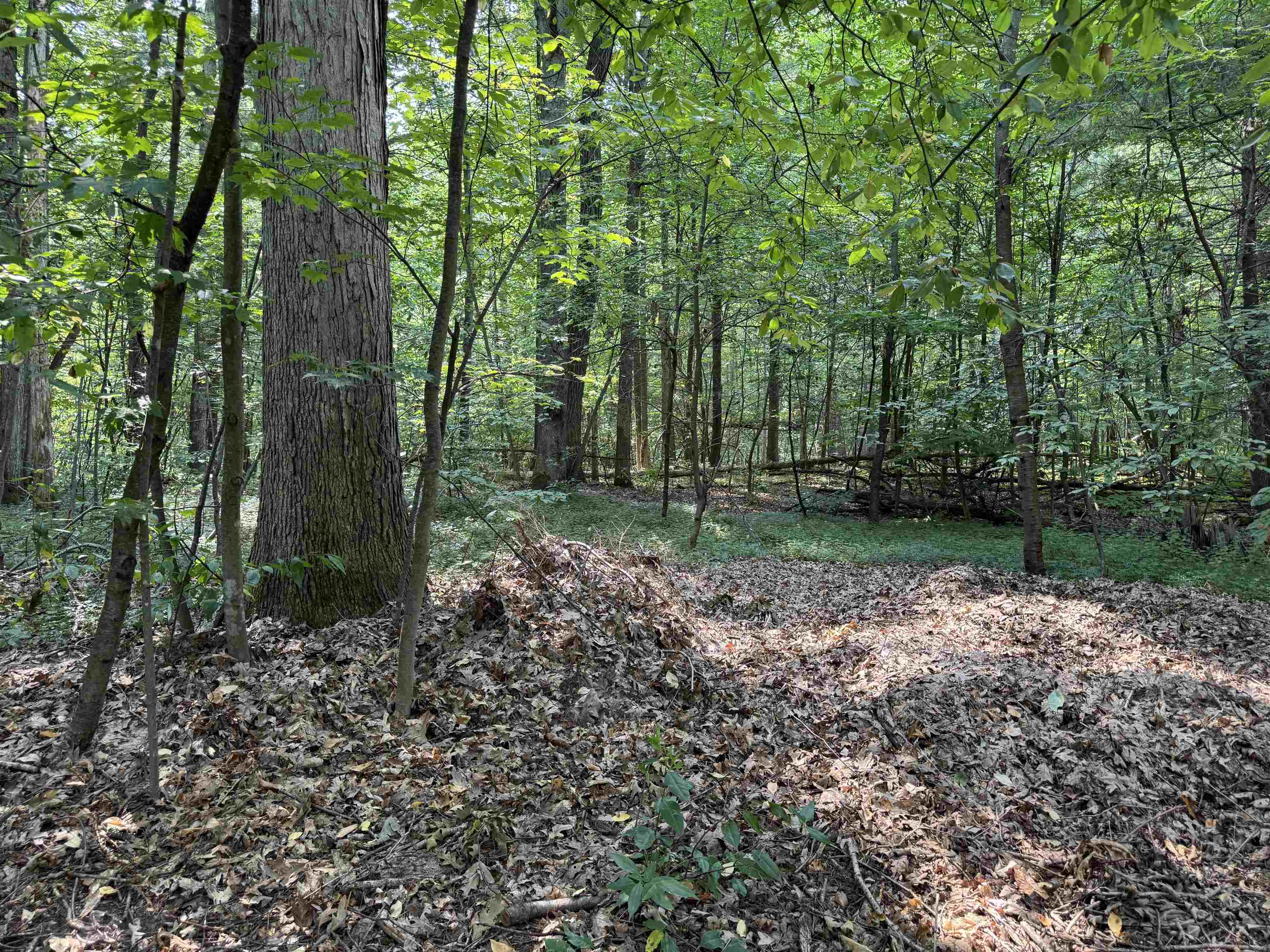 Photo 4 of Single family home for sale at 1386 S Long Lake Rd, Interlochen, MI 49643 | MLS# 78080072199 | Listing updated on 2026-09-17