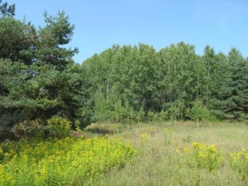 1st image of 0 M 55, Cadillac, MI 49601 | MLS# 80072204