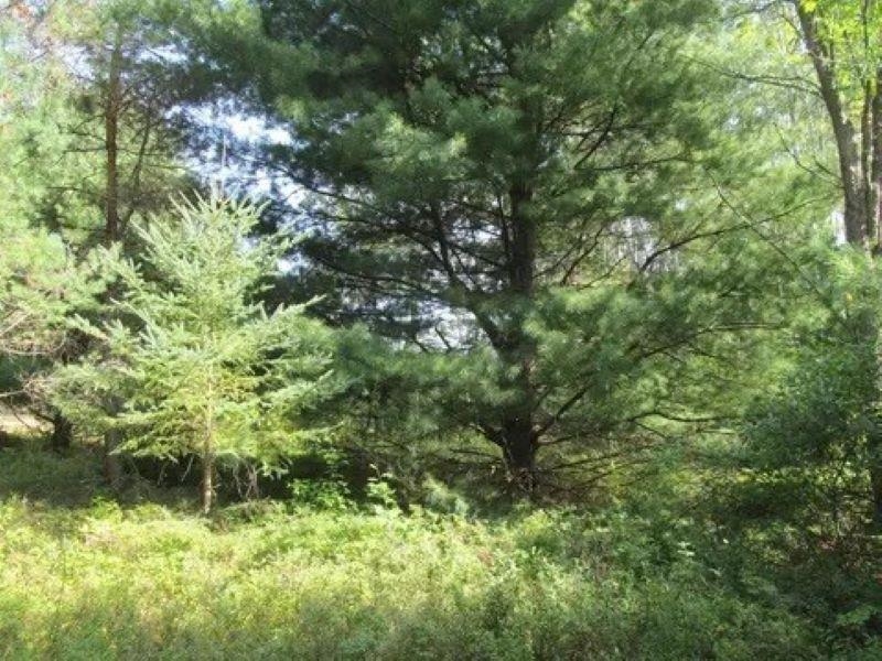 2nd image of 0 M 55, Cadillac, MI 49601 | MLS# 80072204