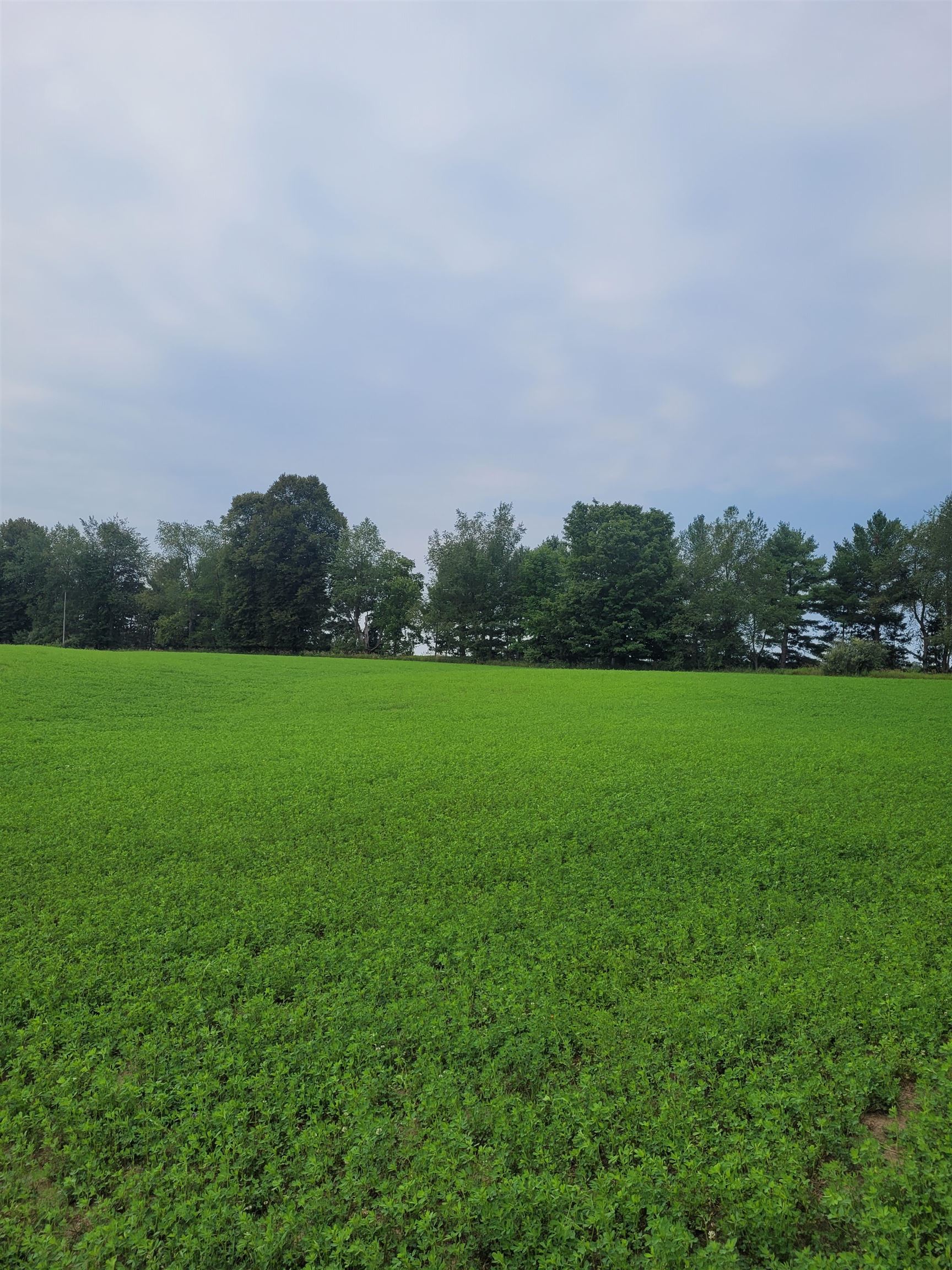 3rd image of V/L N Cook Ave, Marion, MI 49665 | MLS# 80072205