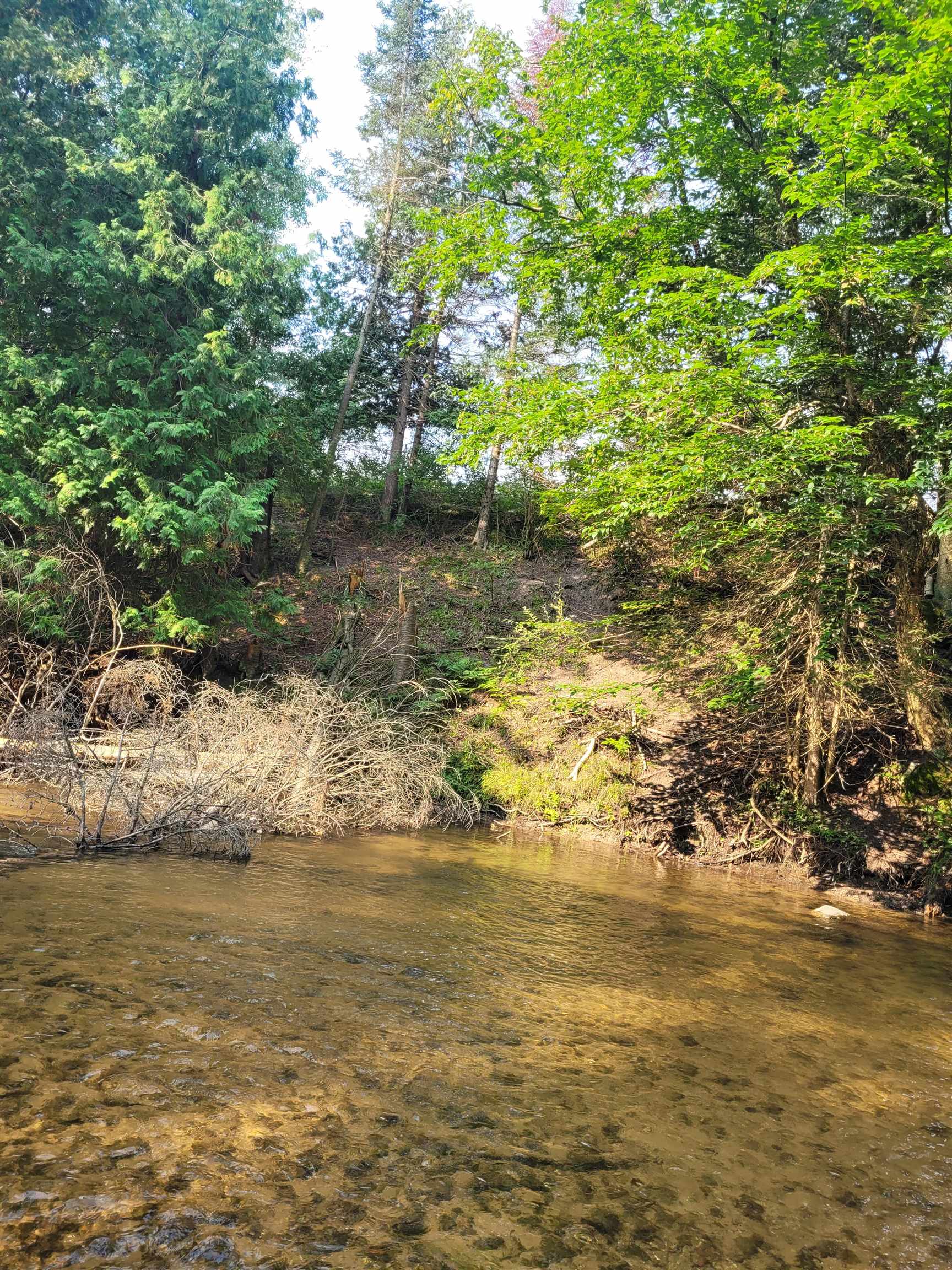 5th image of V/L N Cook Ave, Marion, MI 49665 | MLS# 80072205