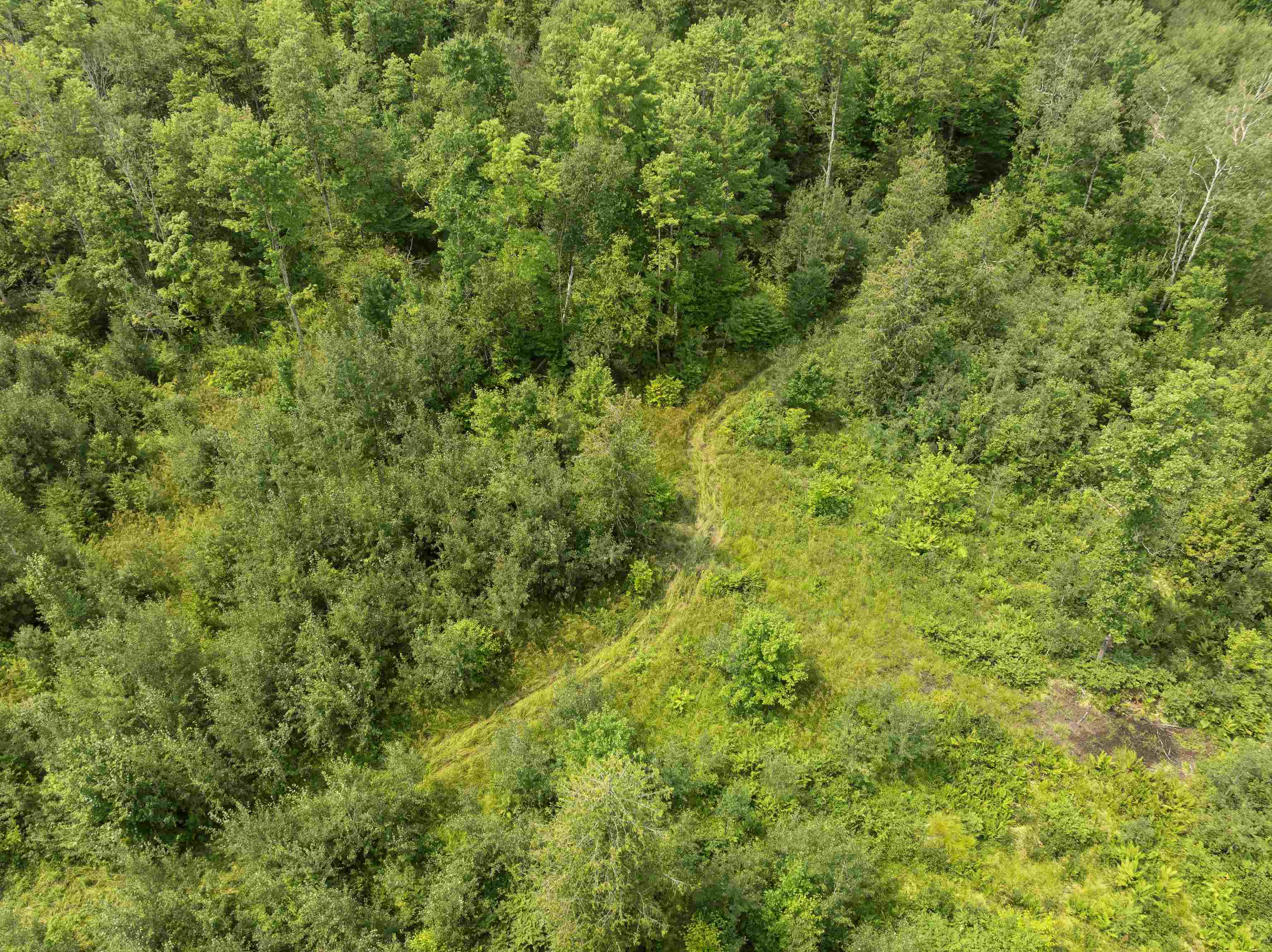 3rd image of 000 S Thompsonville Hwy, Thompsonville, MI 49683 | MLS# 80072218