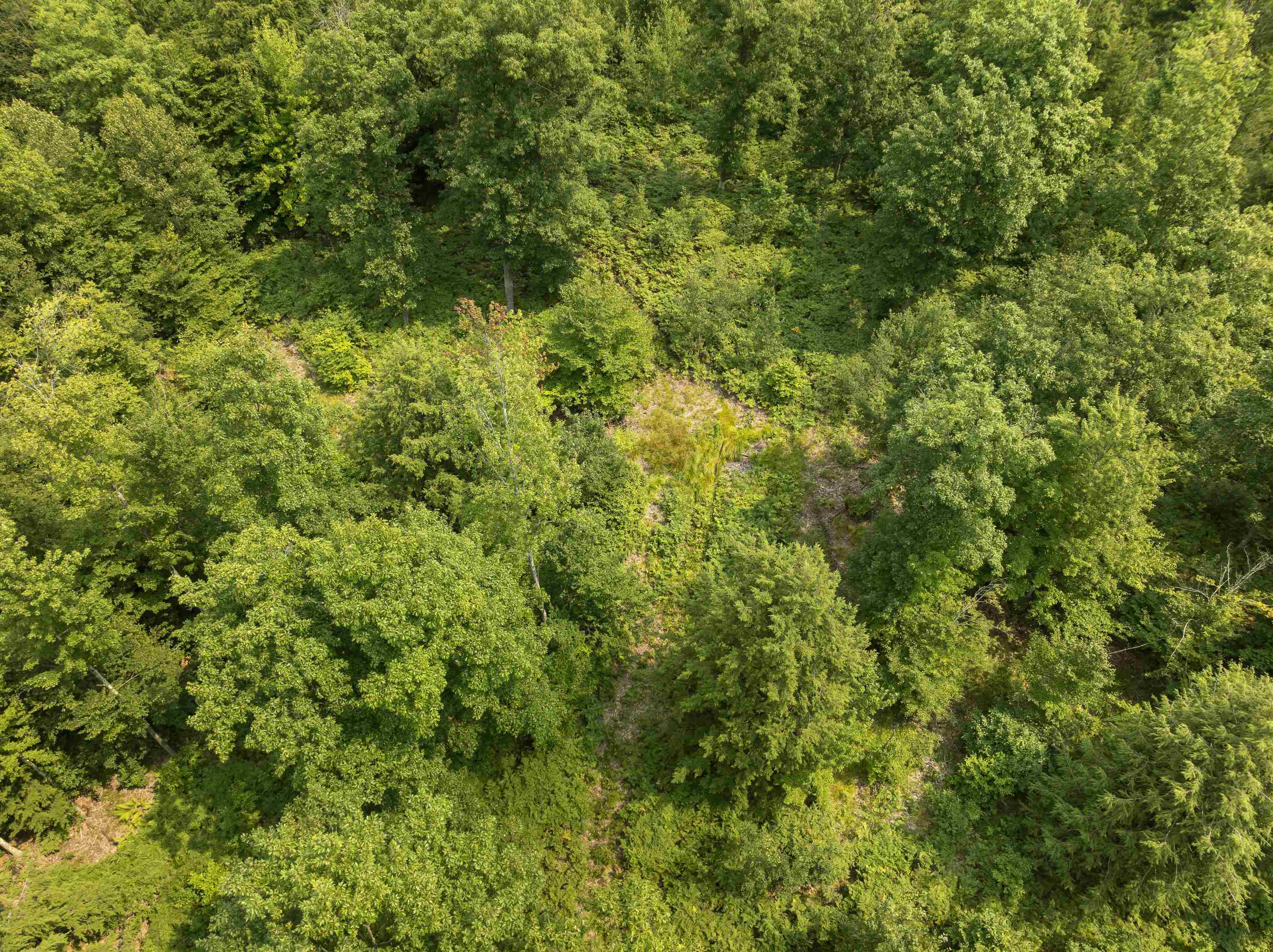 4th image of 000 S Thompsonville Hwy, Thompsonville, MI 49683 | MLS# 80072218