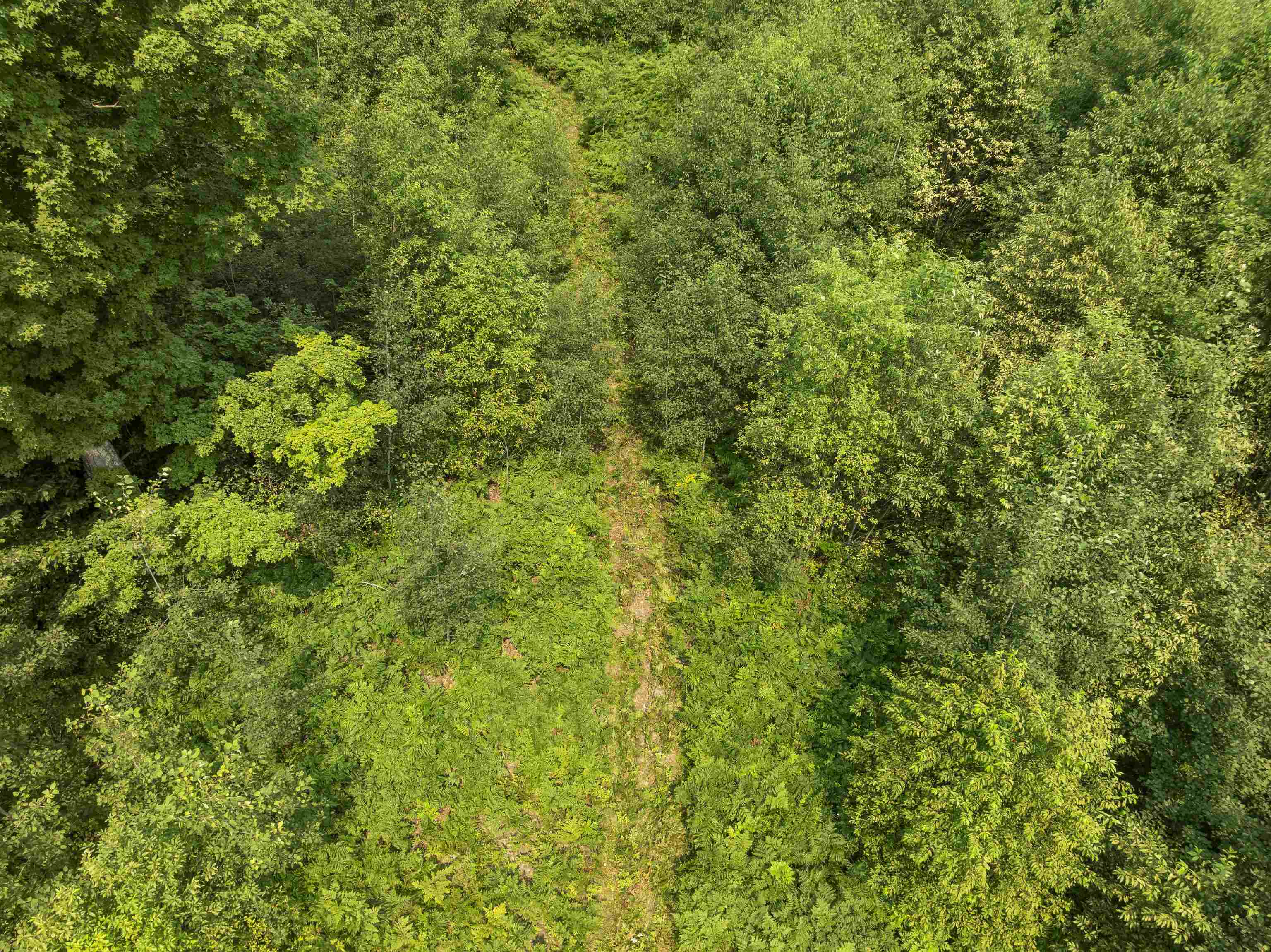 5th image of 000 S Thompsonville Hwy, Thompsonville, MI 49683 | MLS# 80072218