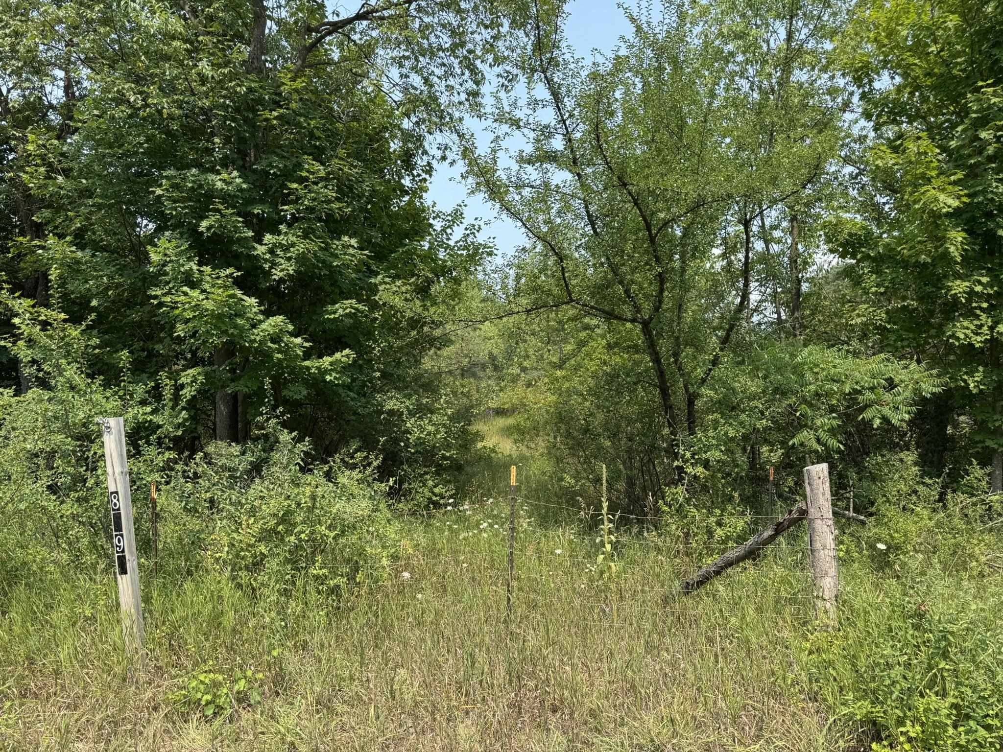 2nd image of 8590 Homestead Rd, Benzonia, MI 49616 | MLS# 80072223