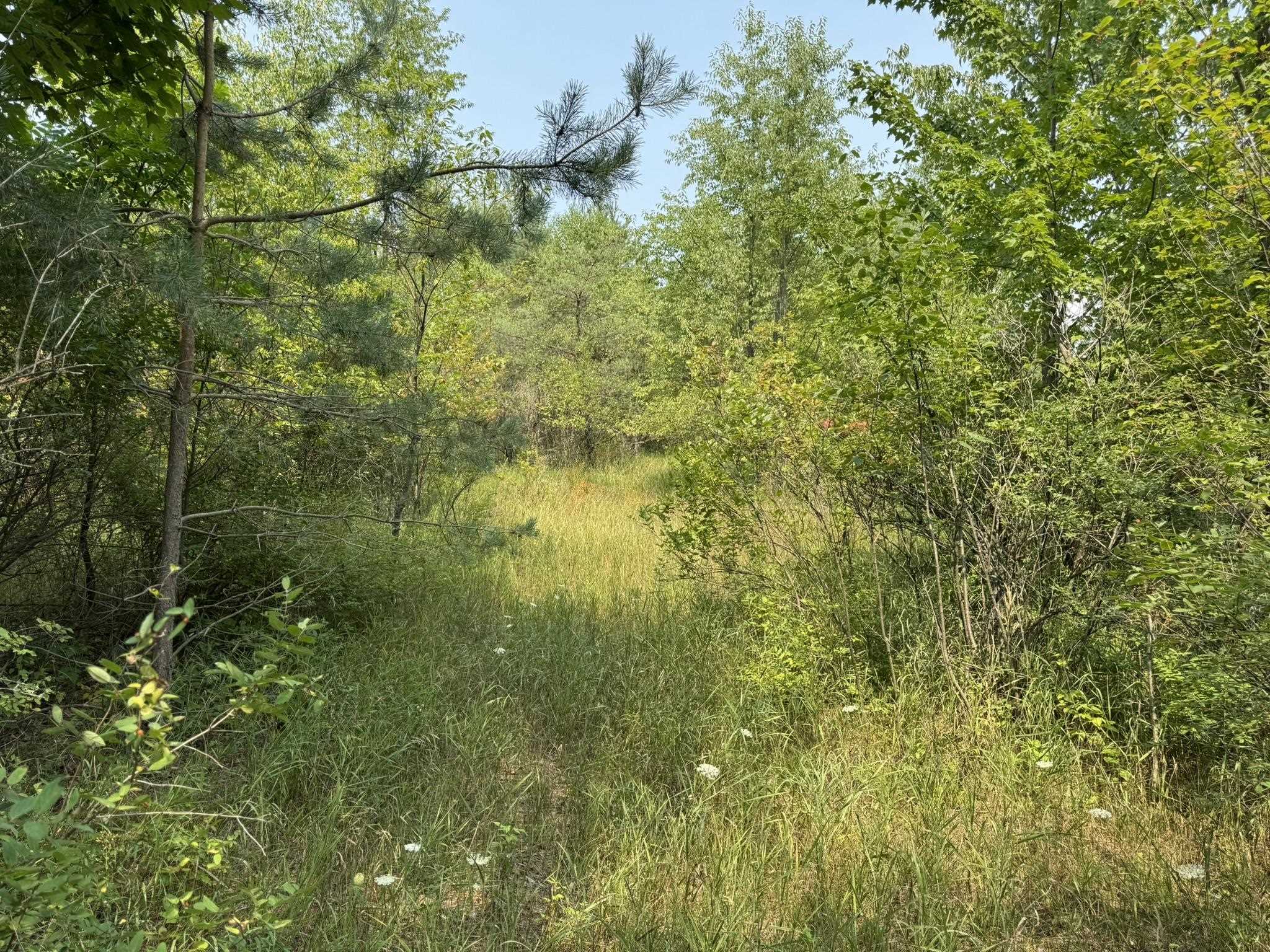 4th image of 8590 Homestead Rd, Benzonia, MI 49616 | MLS# 80072223